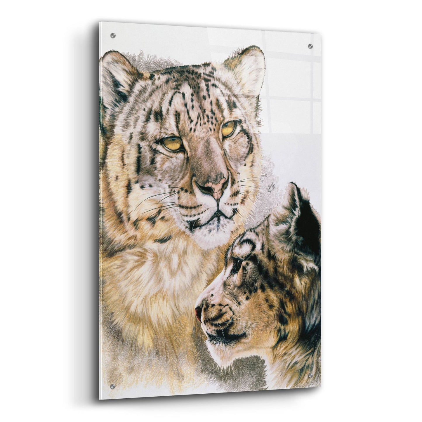 Epic Art 'Panthera Uncia' by Barbara Keith, Acrylic Glass Wall Art,24x36