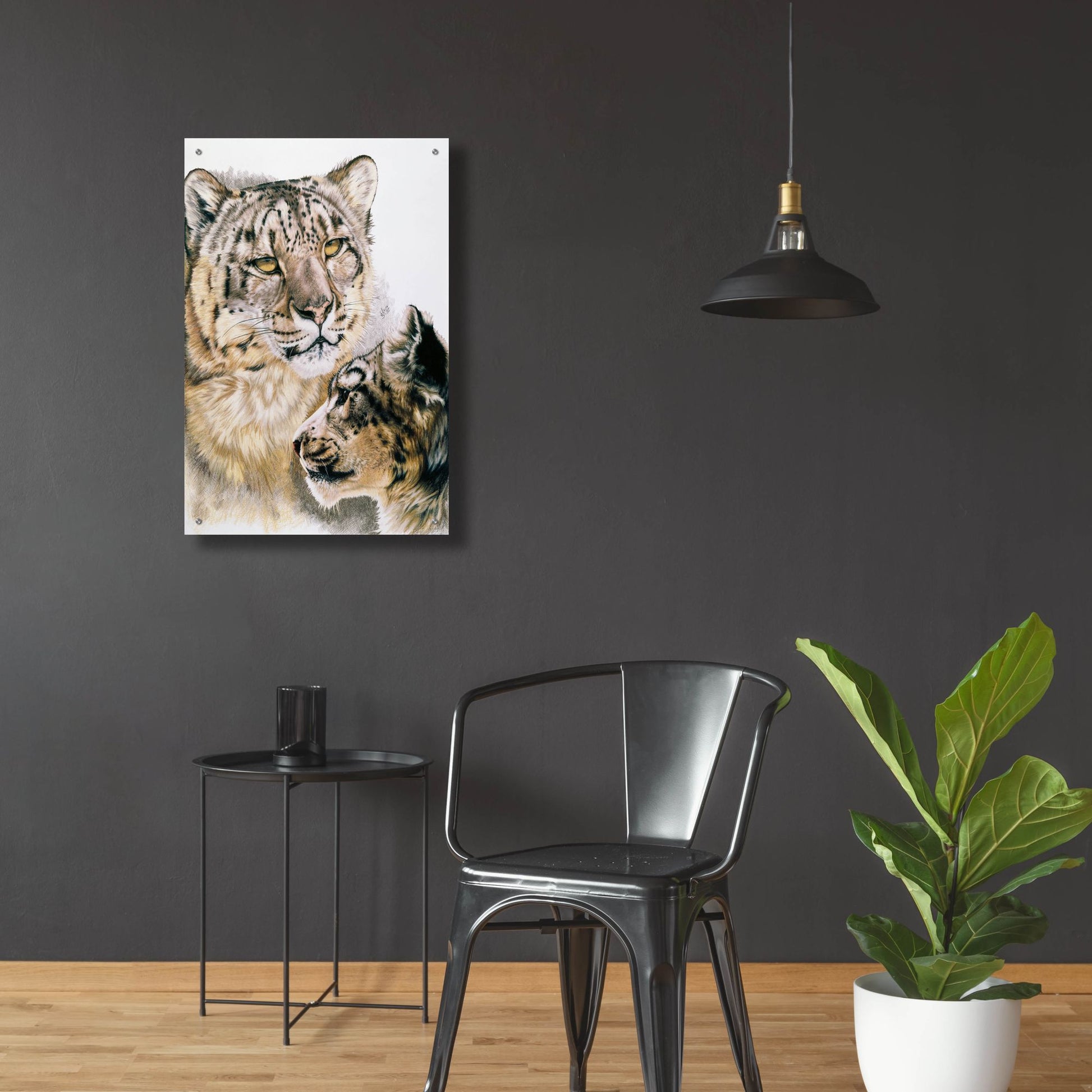 Epic Art 'Panthera Uncia' by Barbara Keith, Acrylic Glass Wall Art,24x36