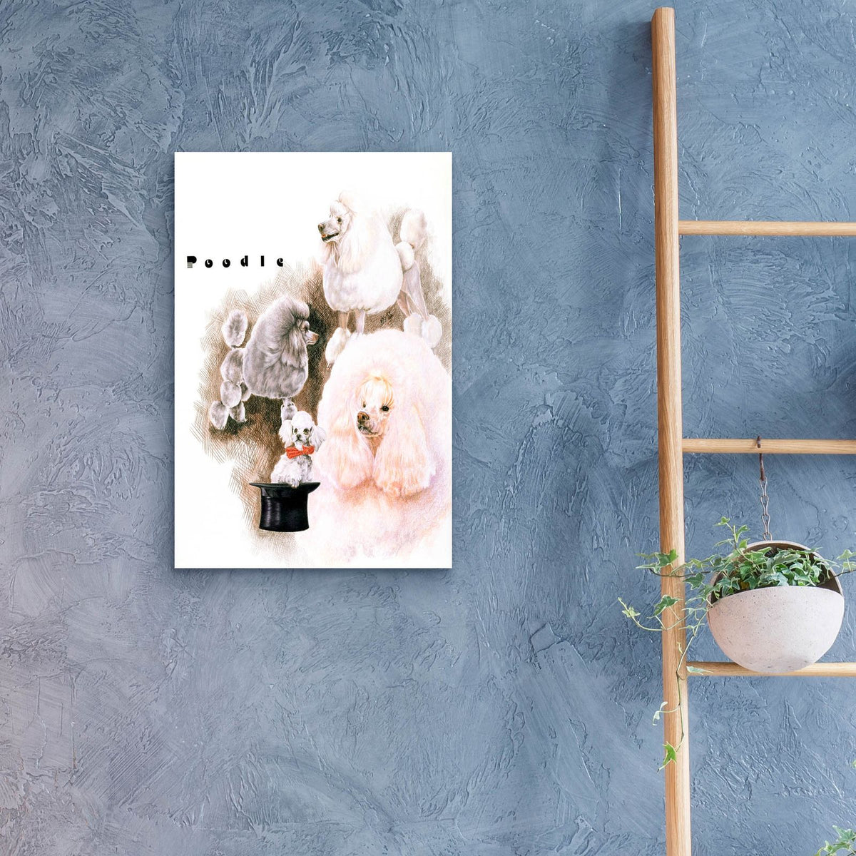 Poodle 2 by Barbara Keith - 16x24 acrylic wall art in a room