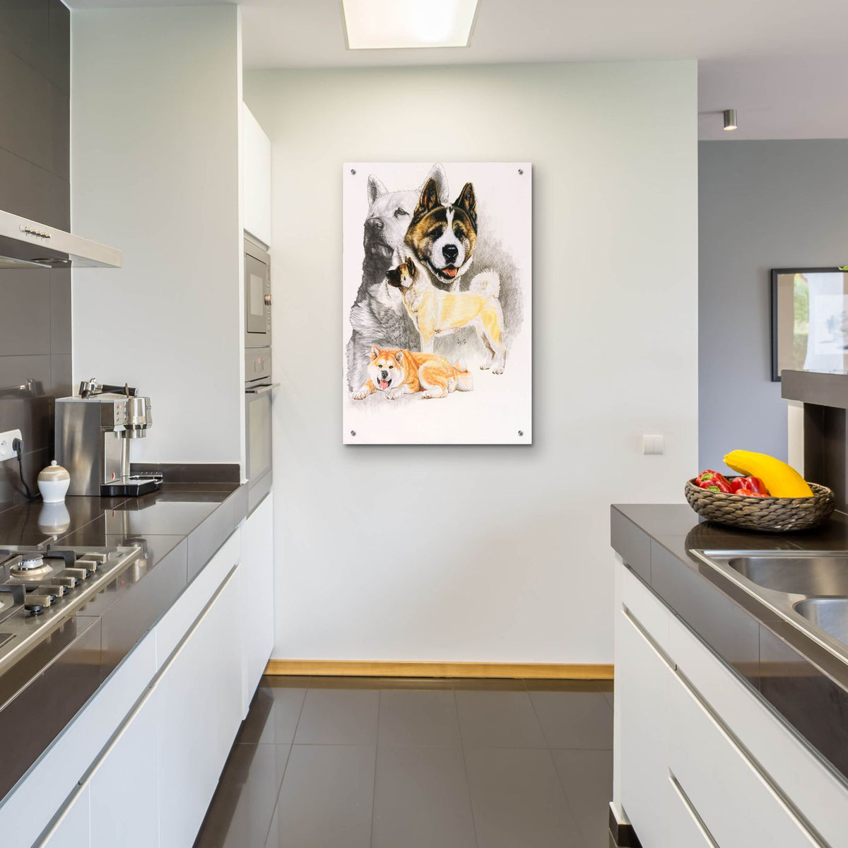 Akita 2 by Barbara Keith - 24x36 acrylic wall art in a room