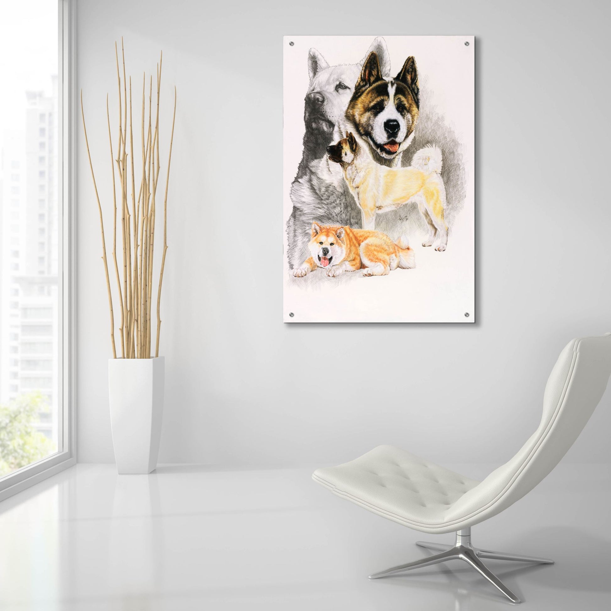 Epic Art 'Akita 2' by Barbara Keith, Acrylic Glass Wall Art,24x36