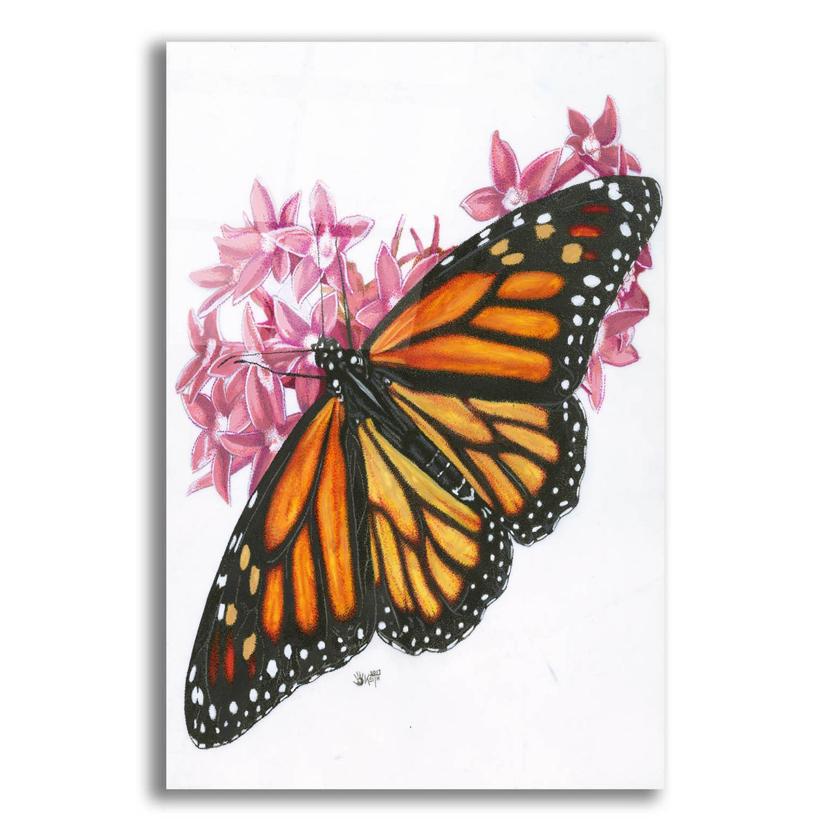 Discovery by Barbara Keith acrylic glass wall art