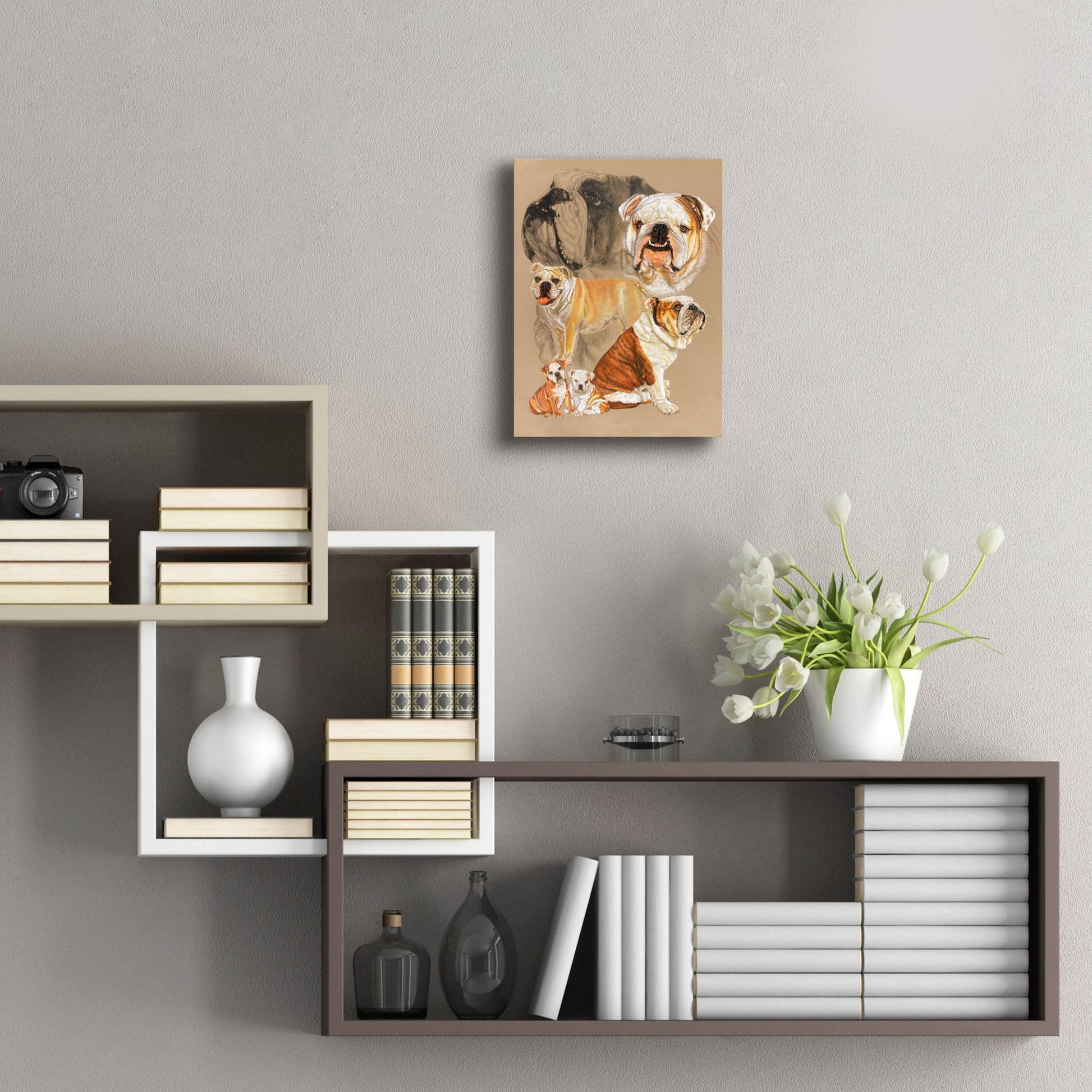 Epic Art 'English Bulldog' by Barbara Keith, Acrylic Glass Wall Art,12x16