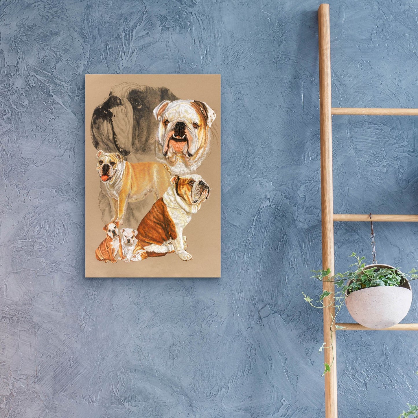 Epic Art 'English Bulldog' by Barbara Keith, Acrylic Glass Wall Art,16x24