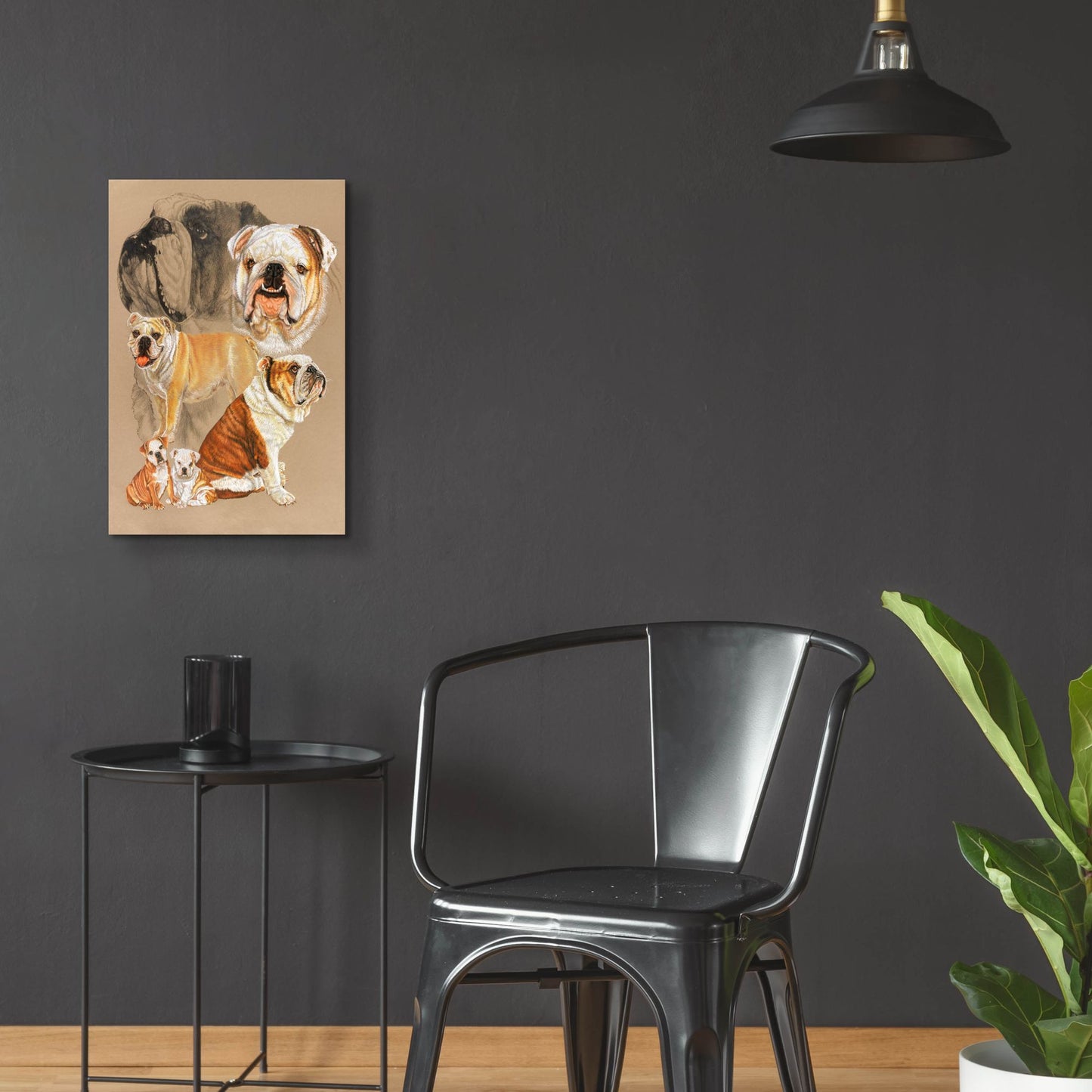 Epic Art 'English Bulldog' by Barbara Keith, Acrylic Glass Wall Art,16x24