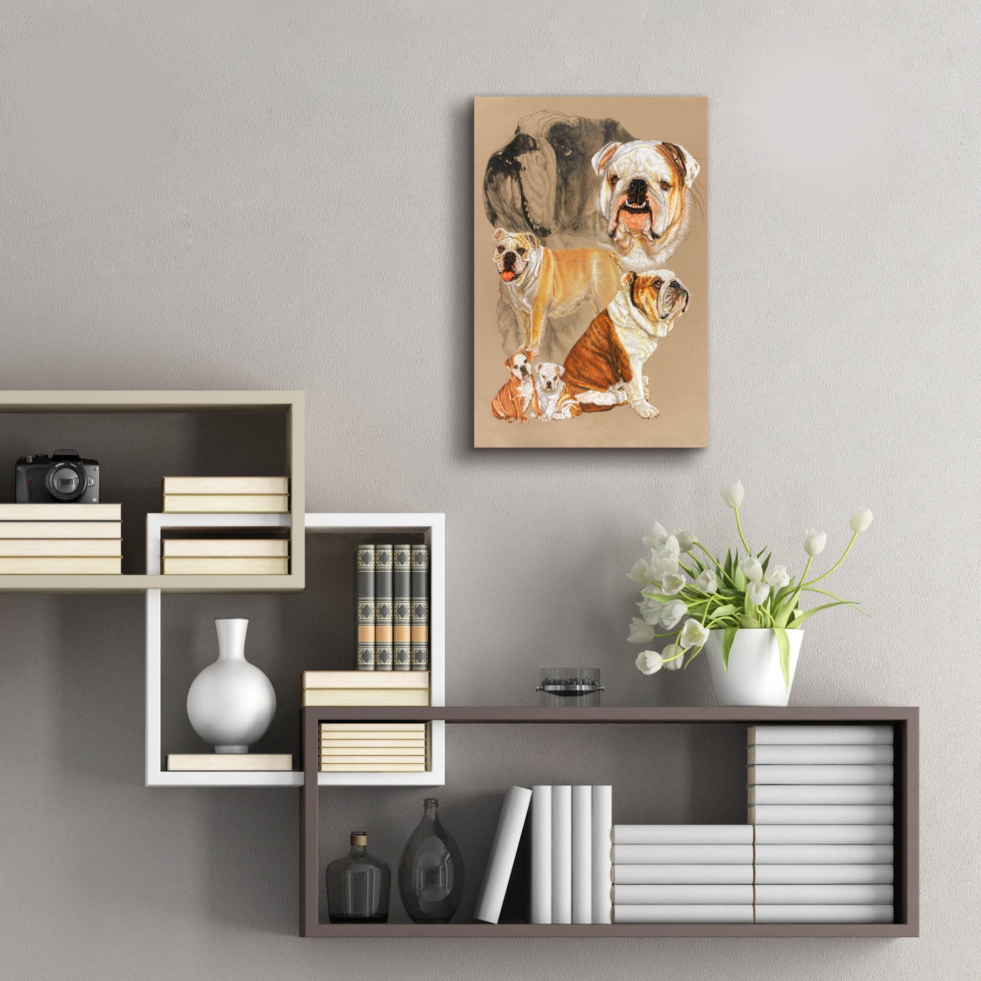 Epic Art 'English Bulldog' by Barbara Keith, Acrylic Glass Wall Art,16x24