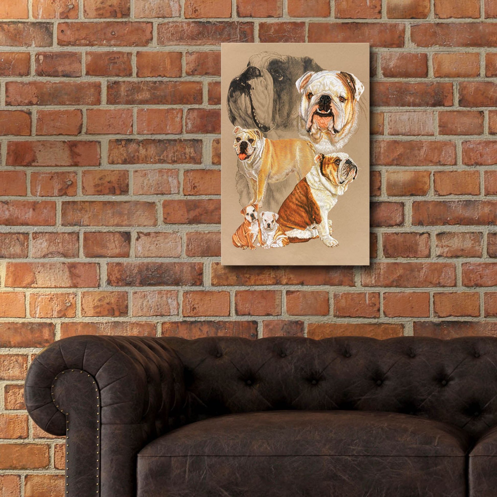 Epic Art 'English Bulldog' by Barbara Keith, Acrylic Glass Wall Art,16x24