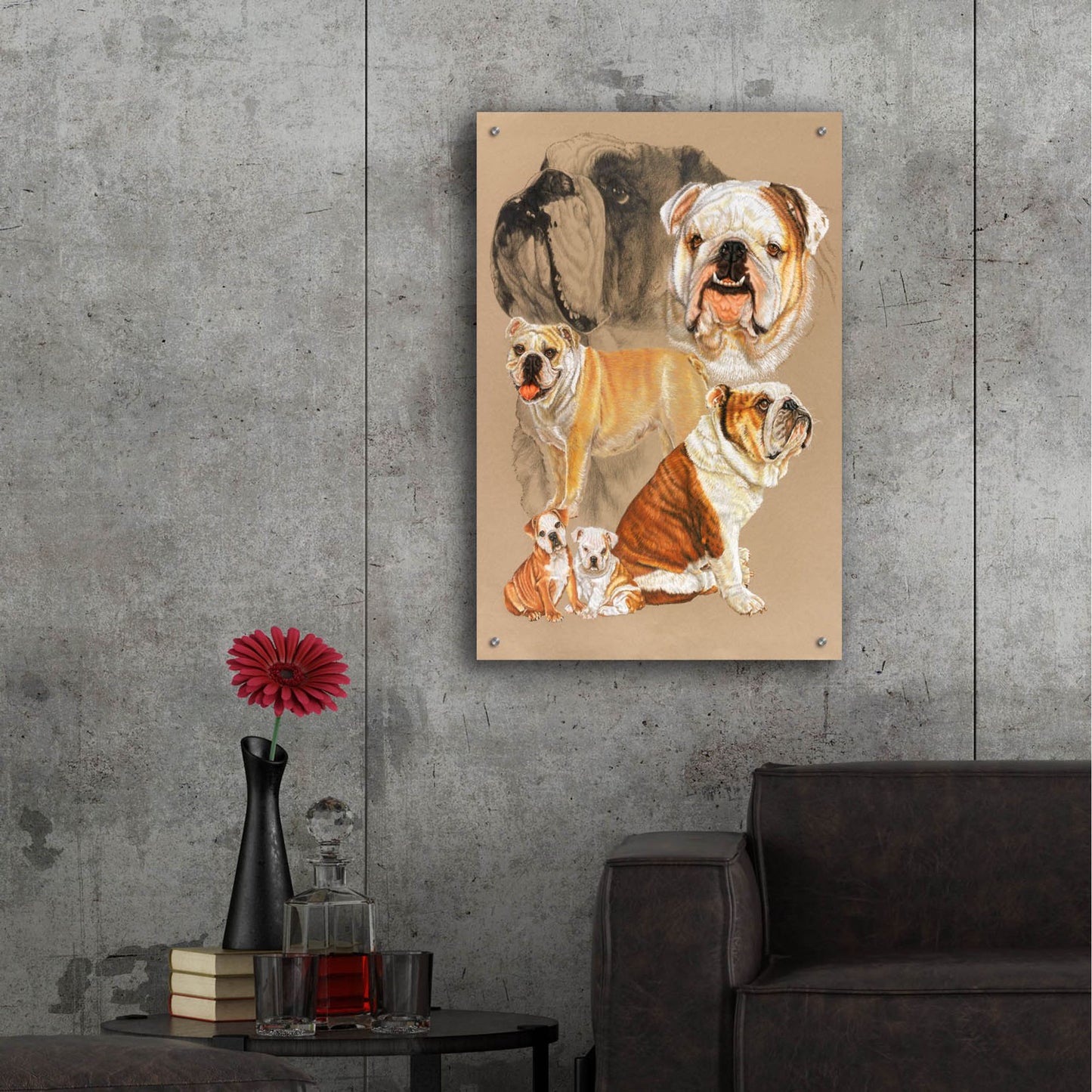 Epic Art 'English Bulldog' by Barbara Keith, Acrylic Glass Wall Art,24x36