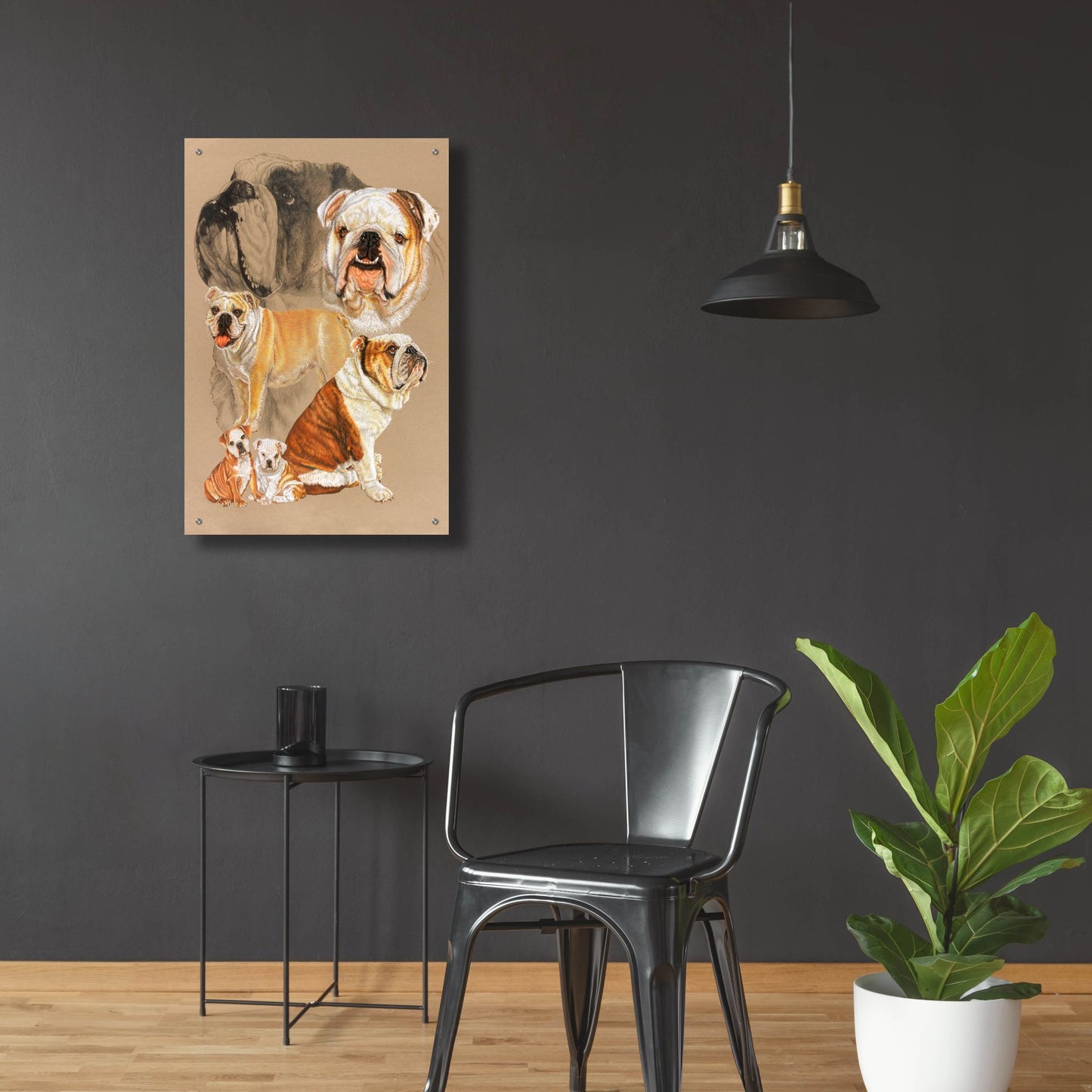 Epic Art 'English Bulldog' by Barbara Keith, Acrylic Glass Wall Art,24x36