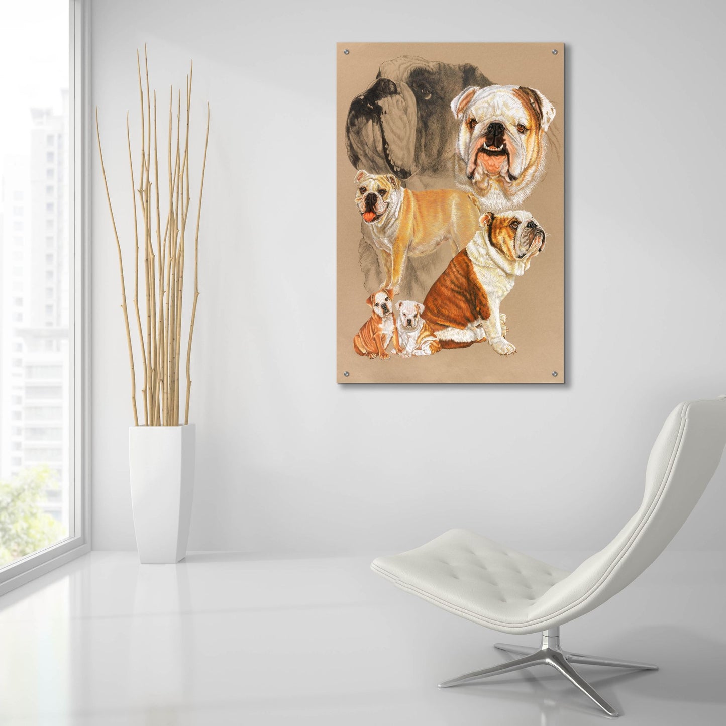 Epic Art 'English Bulldog' by Barbara Keith, Acrylic Glass Wall Art,24x36