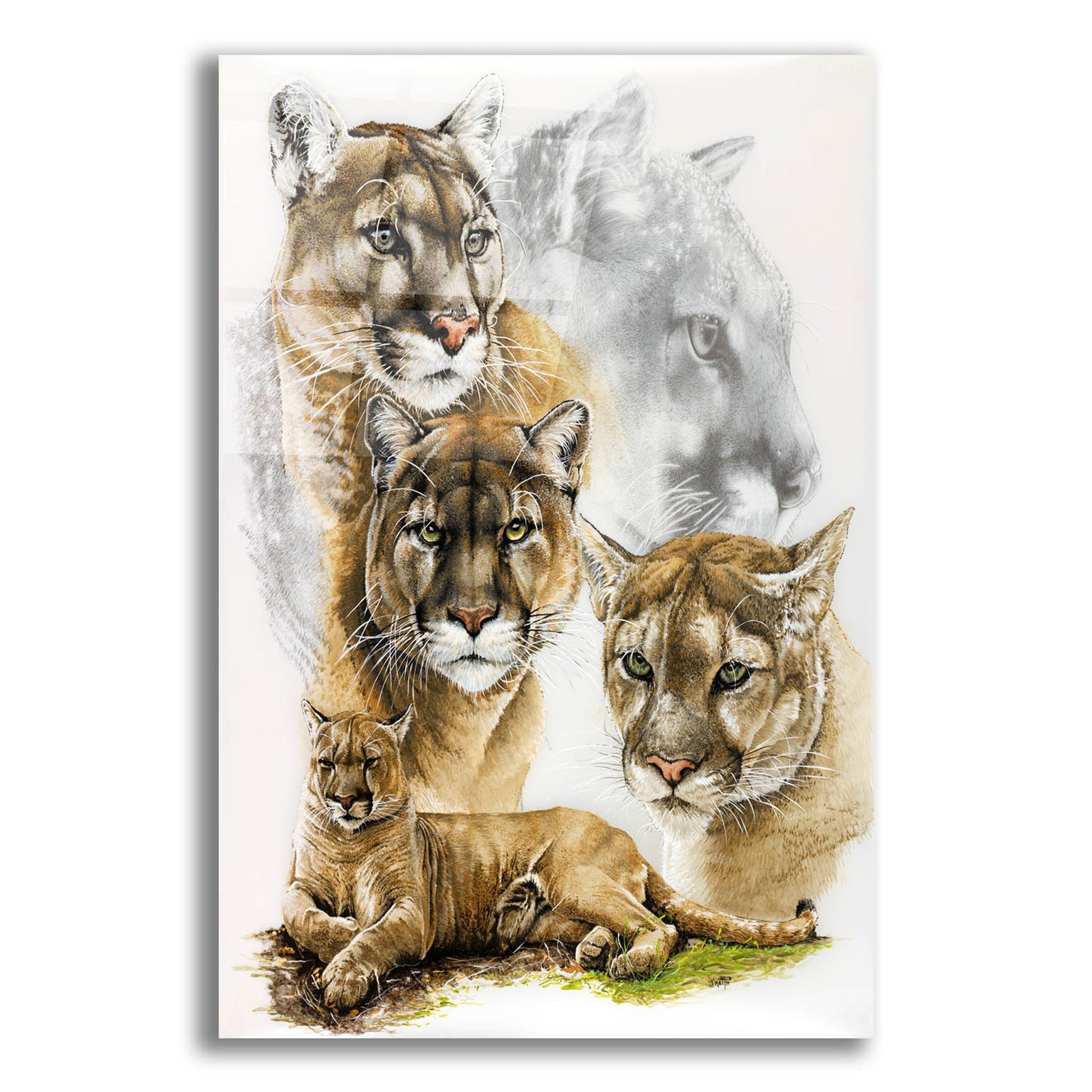 Epic Art 'Fierce' by Barbara Keith, Acrylic Glass Wall Art,12x16