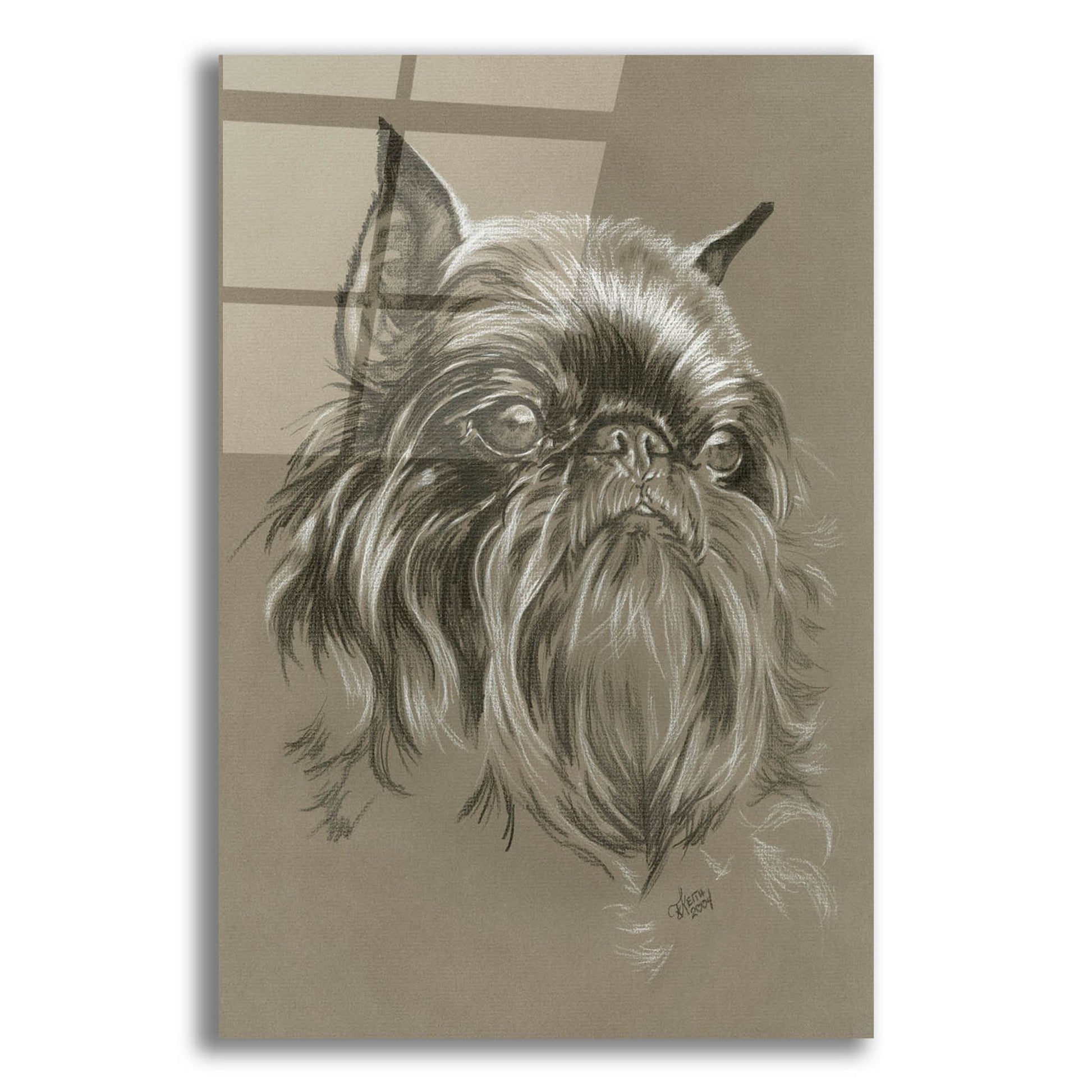 Epic Art 'Brussels Griffon 2' by Barbara Keith, Acrylic Glass Wall Art,12x16