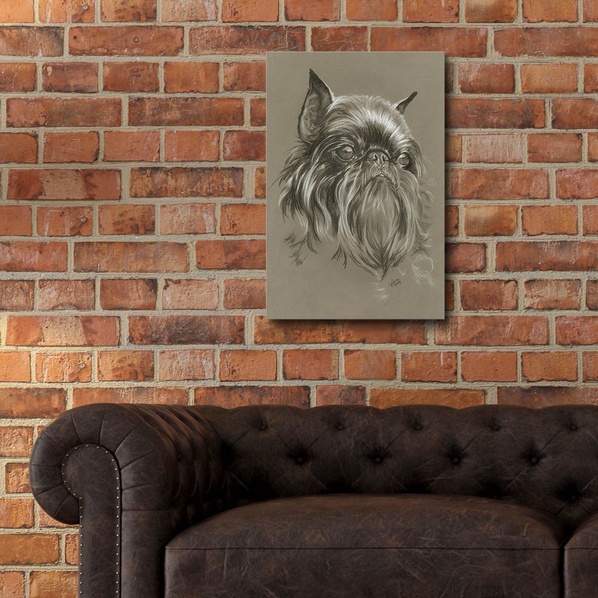 Epic Art 'Brussels Griffon 2' by Barbara Keith, Acrylic Glass Wall Art,16x24