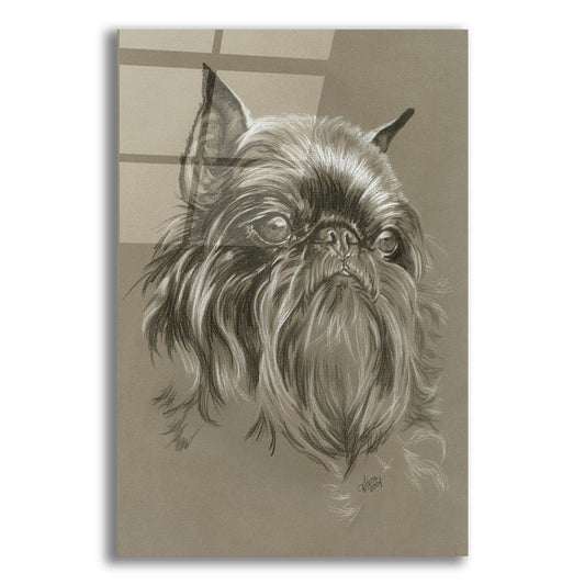 Epic Art 'Brussels Griffon 2' by Barbara Keith, Acrylic Glass Wall Art