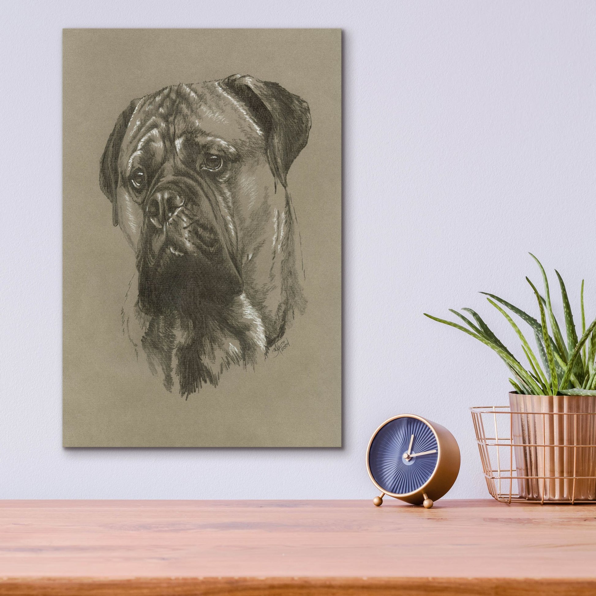 Epic Art 'Bull Mastiff' by Barbara Keith, Acrylic Glass Wall Art,12x16