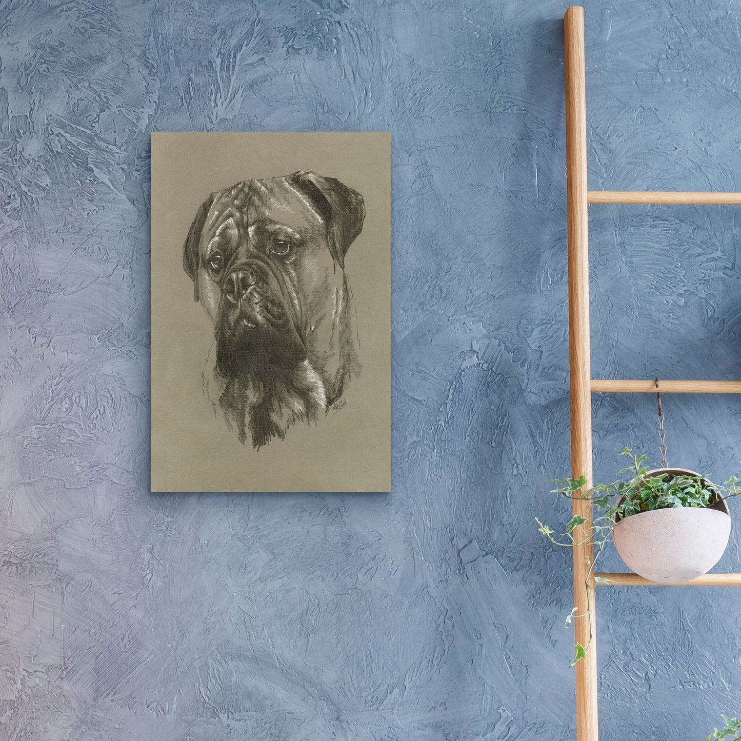 Epic Art 'Bull Mastiff' by Barbara Keith, Acrylic Glass Wall Art,16x24