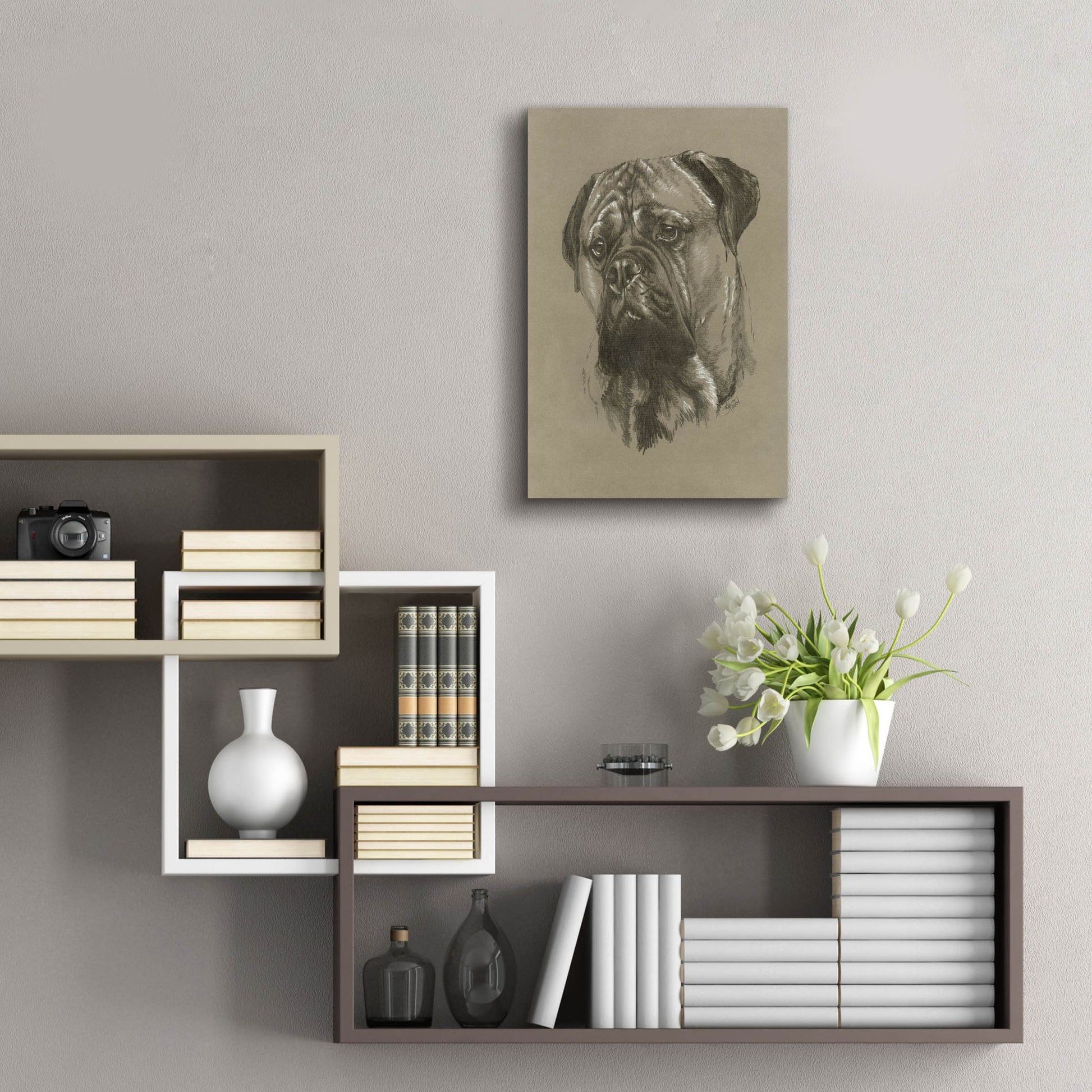 Epic Art 'Bull Mastiff' by Barbara Keith, Acrylic Glass Wall Art,16x24