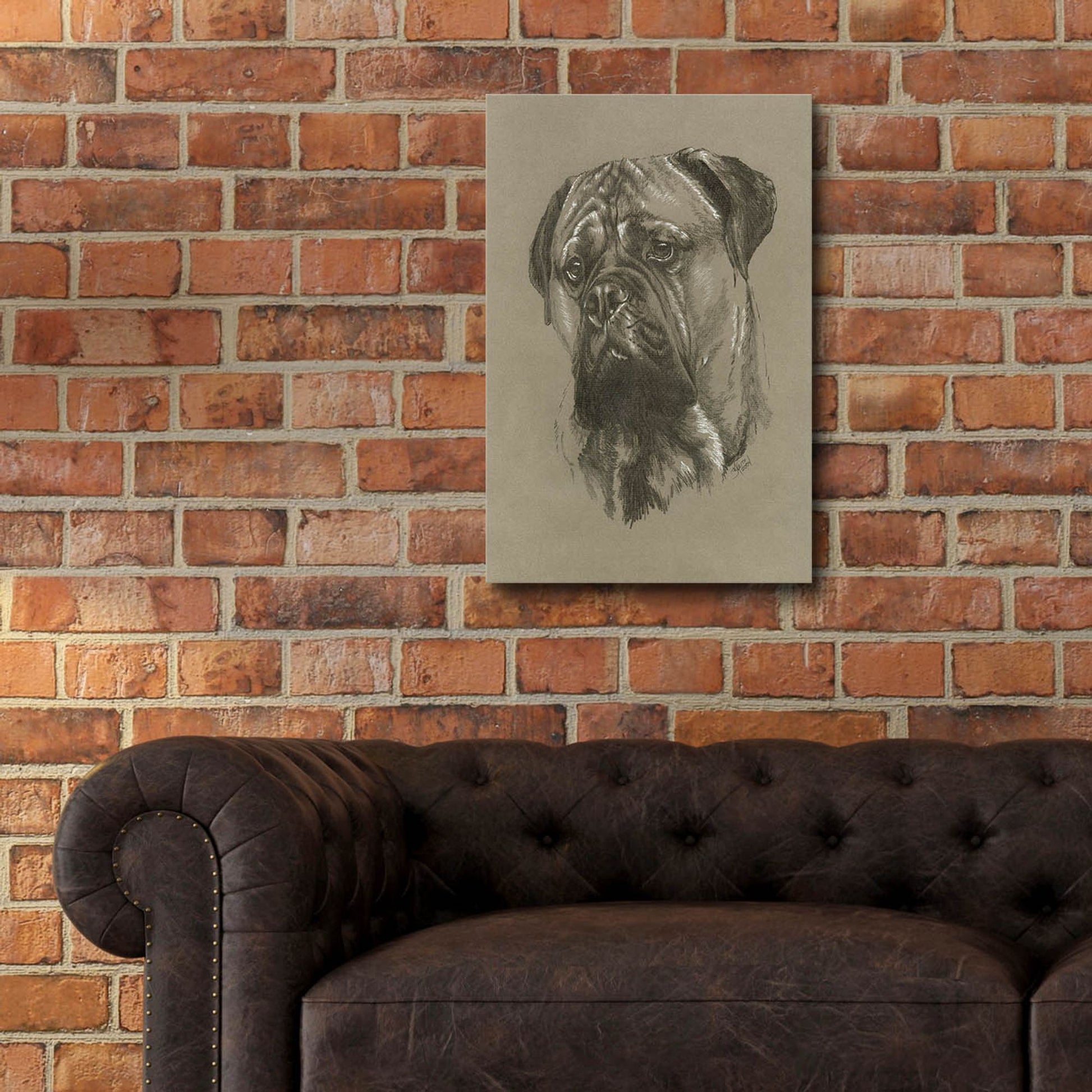 Epic Art 'Bull Mastiff' by Barbara Keith, Acrylic Glass Wall Art,16x24