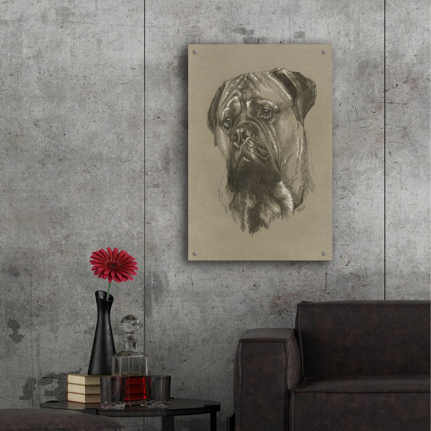 Epic Art 'Bull Mastiff' by Barbara Keith, Acrylic Glass Wall Art,24x36