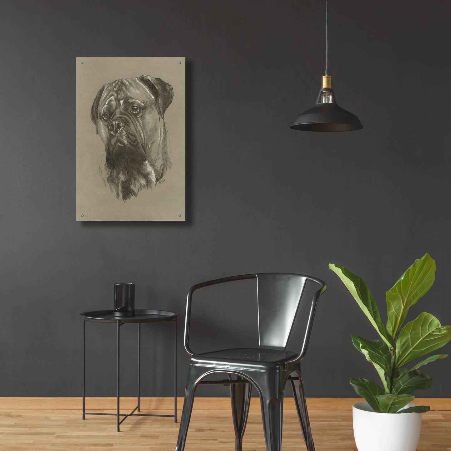 Epic Art 'Bull Mastiff' by Barbara Keith, Acrylic Glass Wall Art,24x36