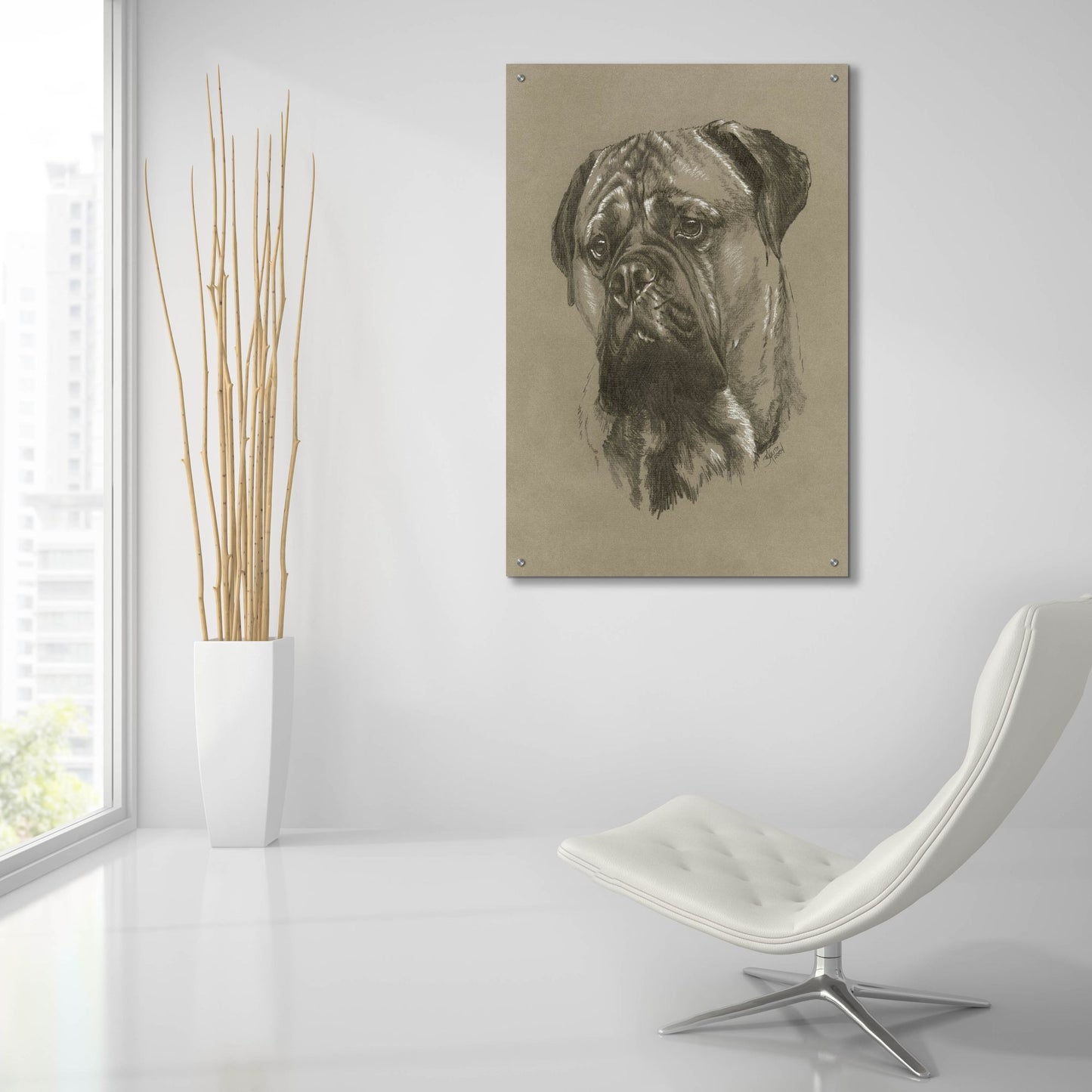 Epic Art 'Bull Mastiff' by Barbara Keith, Acrylic Glass Wall Art,24x36