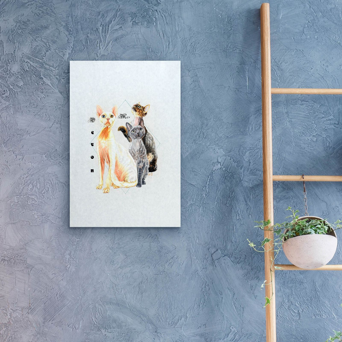Devon Rex by Barbara Keith - 16x24 acrylic wall art in a room