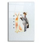 Devon Rex by Barbara Keith acrylic glass wall art