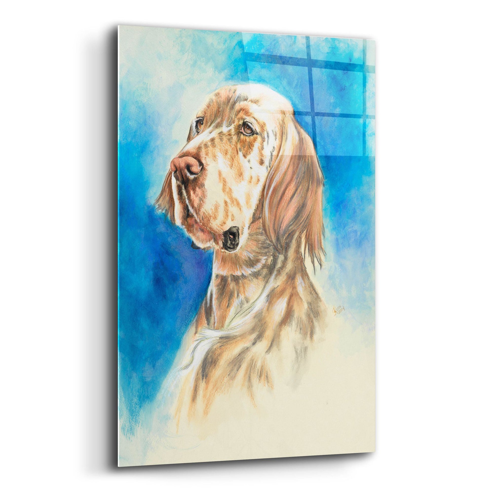 Epic Art 'English Setter' by Barbara Keith, Acrylic Glass Wall Art,12x16