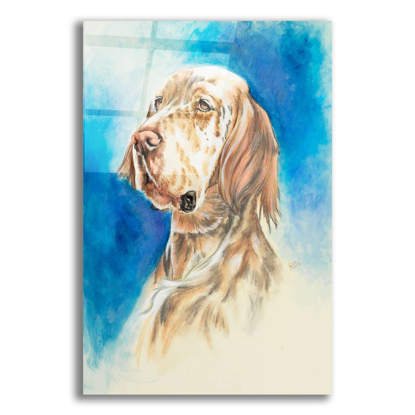 Epic Art 'English Setter' by Barbara Keith, Acrylic Glass Wall Art,12x16