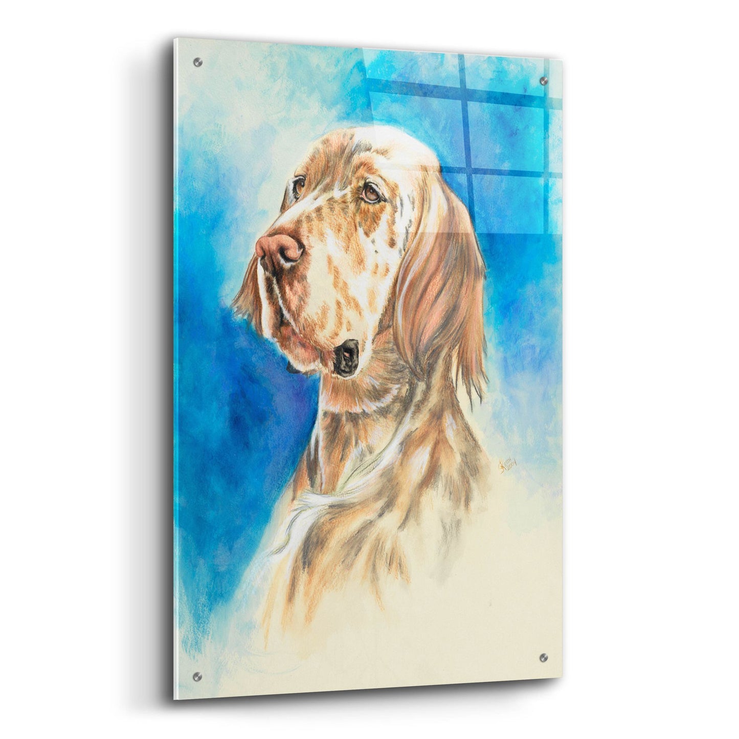 Epic Art 'English Setter' by Barbara Keith, Acrylic Glass Wall Art,24x36