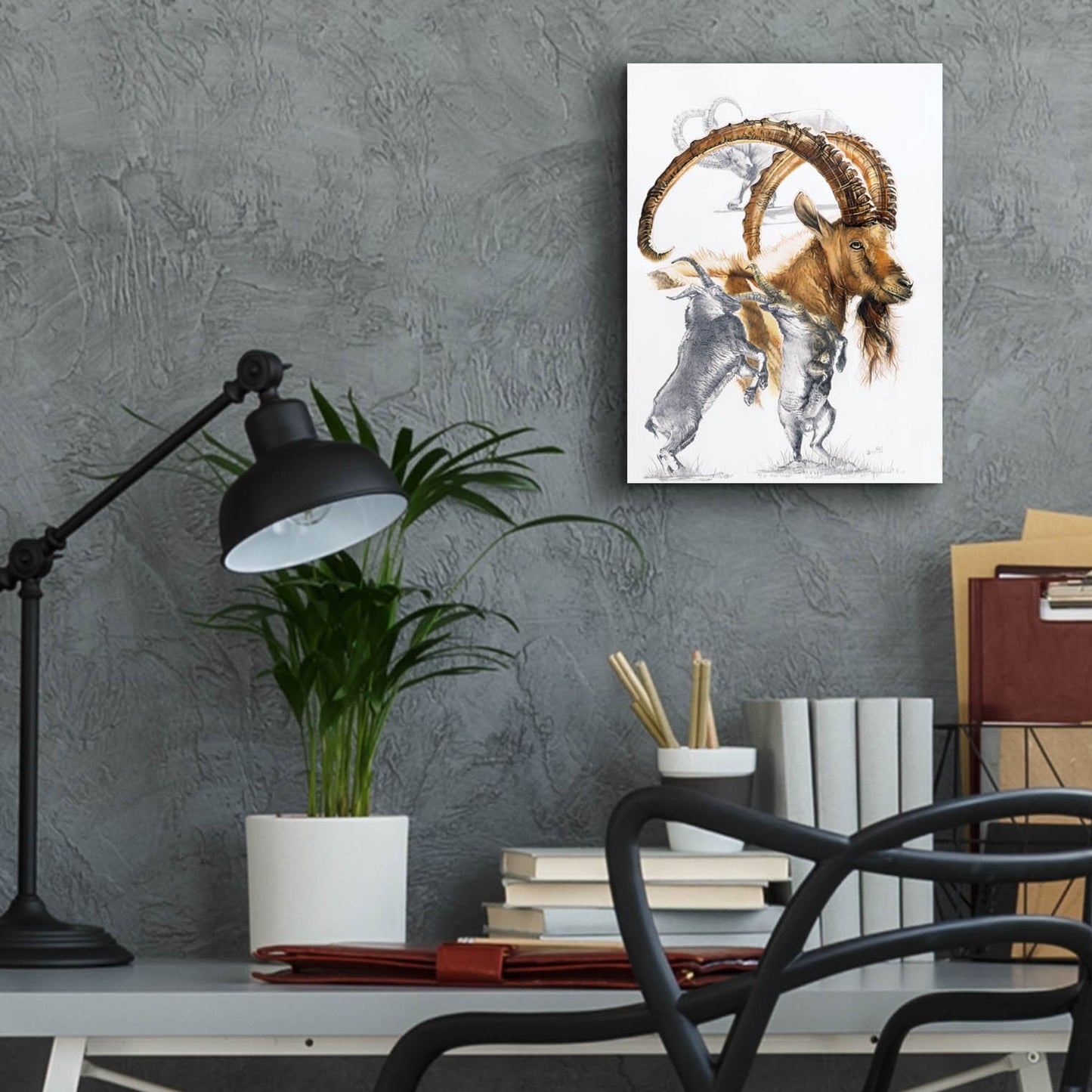 Epic Art 'Ibex' by Barbara Keith, Acrylic Glass Wall Art,12x16