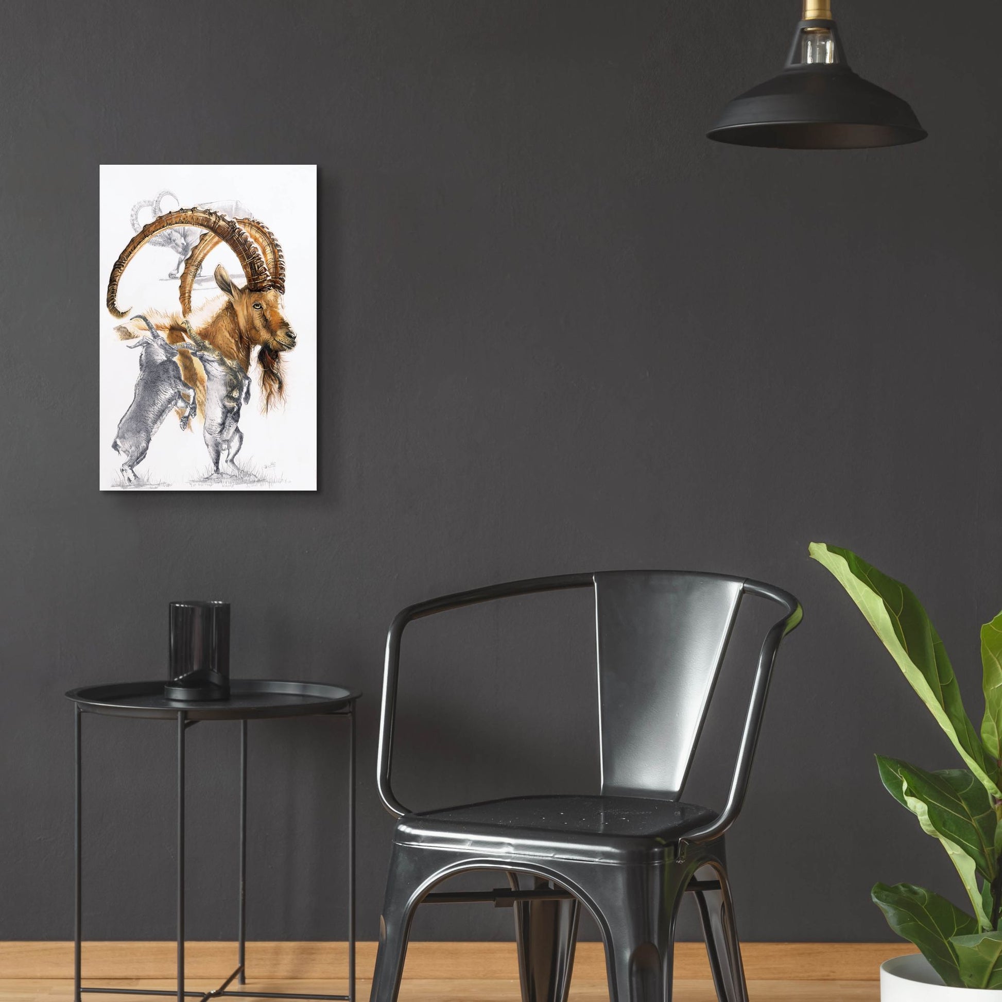 Epic Art 'Ibex' by Barbara Keith, Acrylic Glass Wall Art,16x24