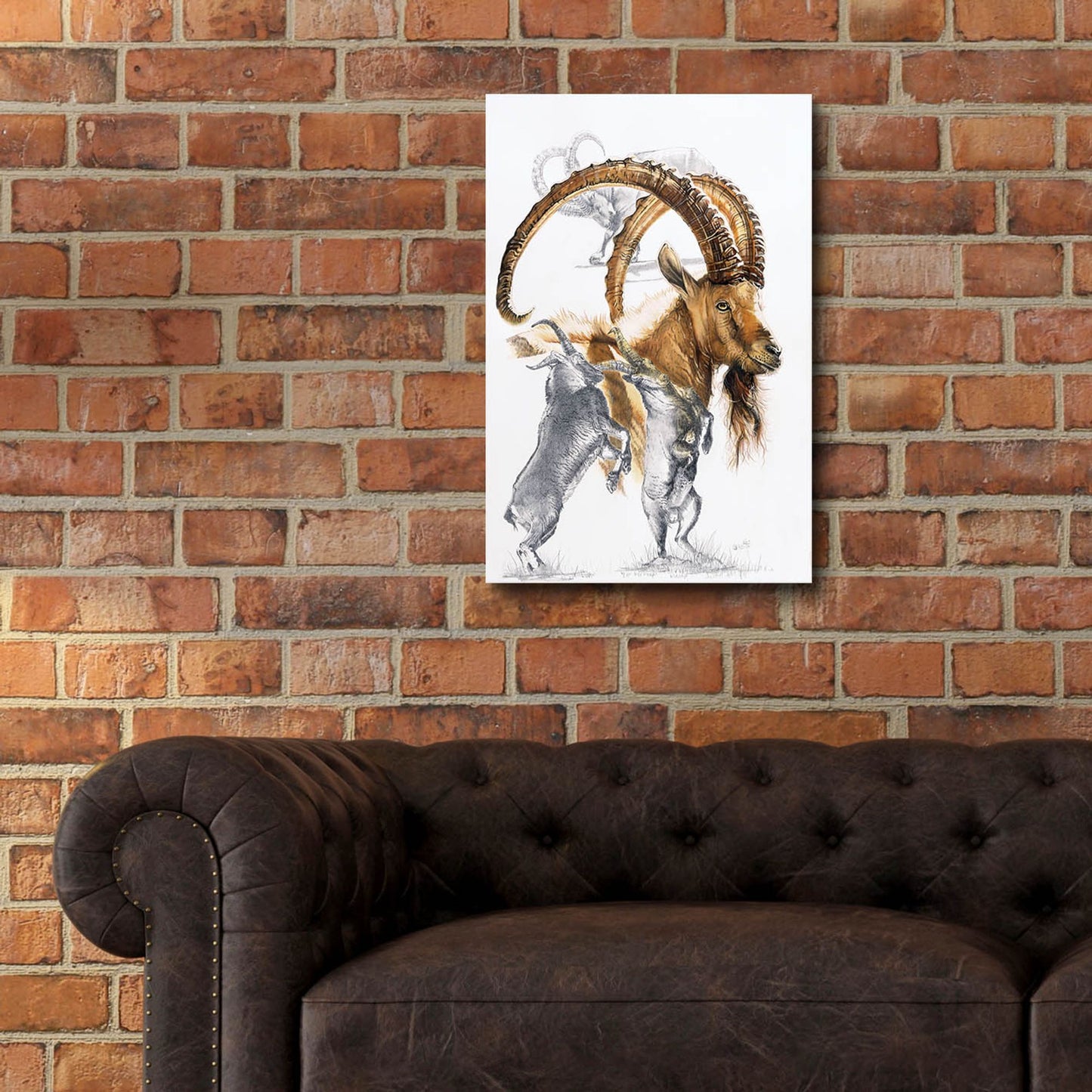 Epic Art 'Ibex' by Barbara Keith, Acrylic Glass Wall Art,16x24