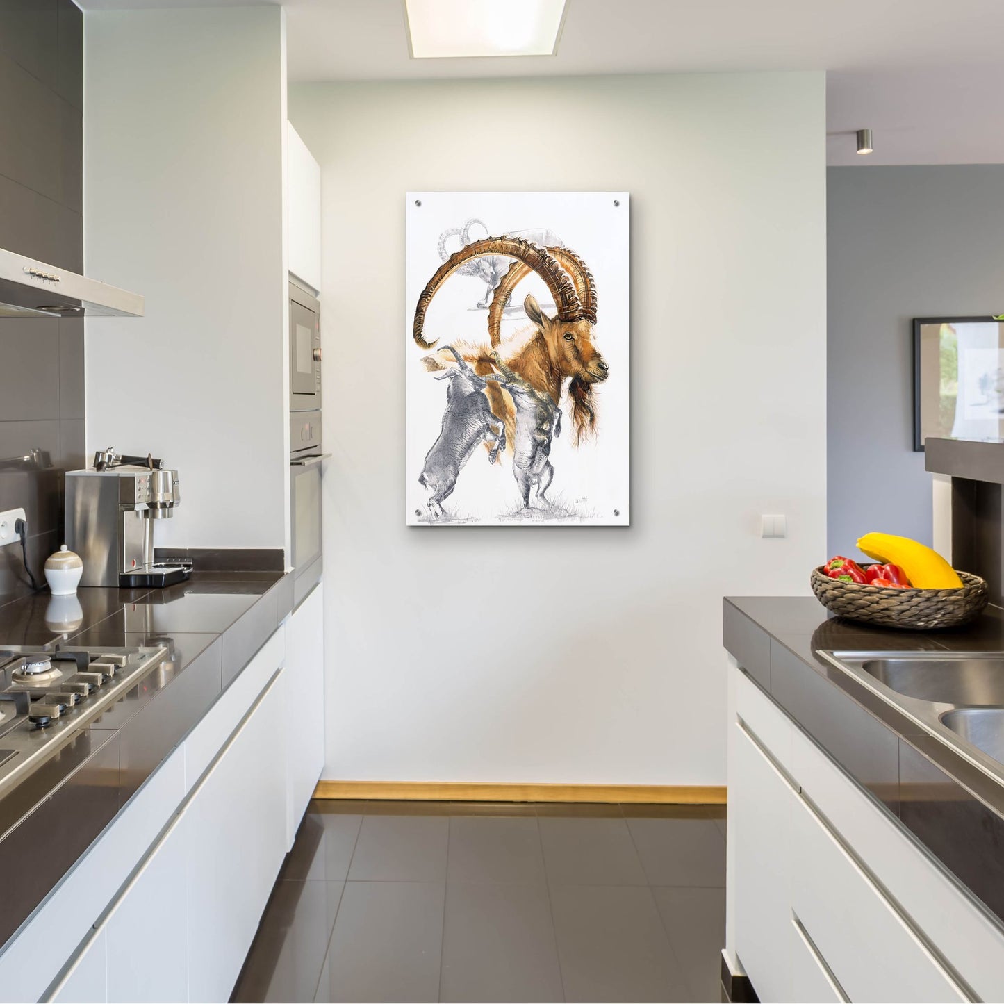 Epic Art 'Ibex' by Barbara Keith, Acrylic Glass Wall Art,24x36