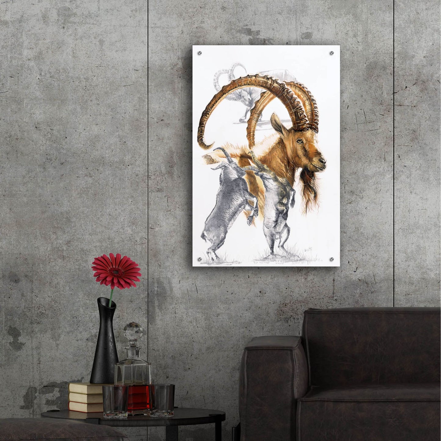 Epic Art 'Ibex' by Barbara Keith, Acrylic Glass Wall Art,24x36