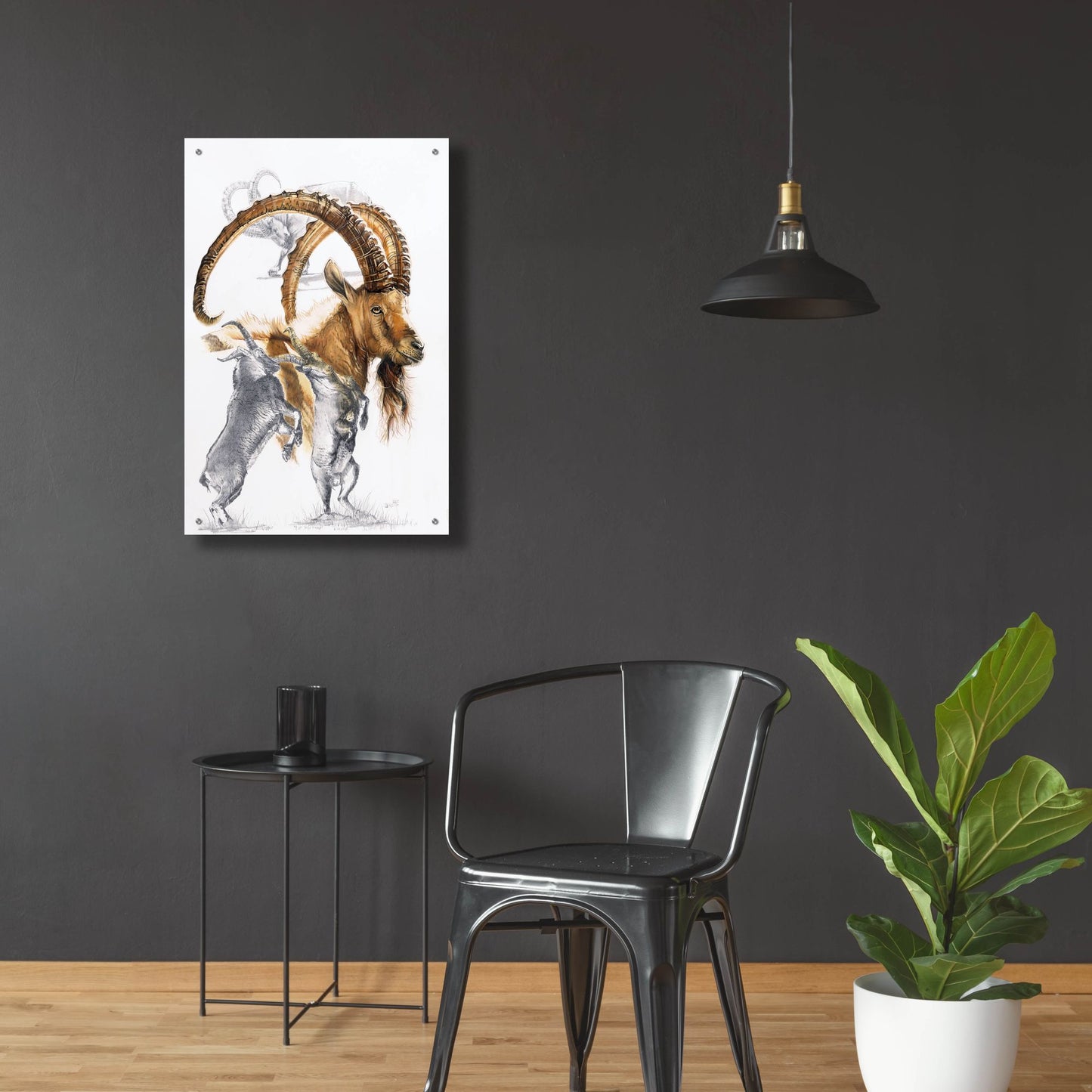 Epic Art 'Ibex' by Barbara Keith, Acrylic Glass Wall Art,24x36