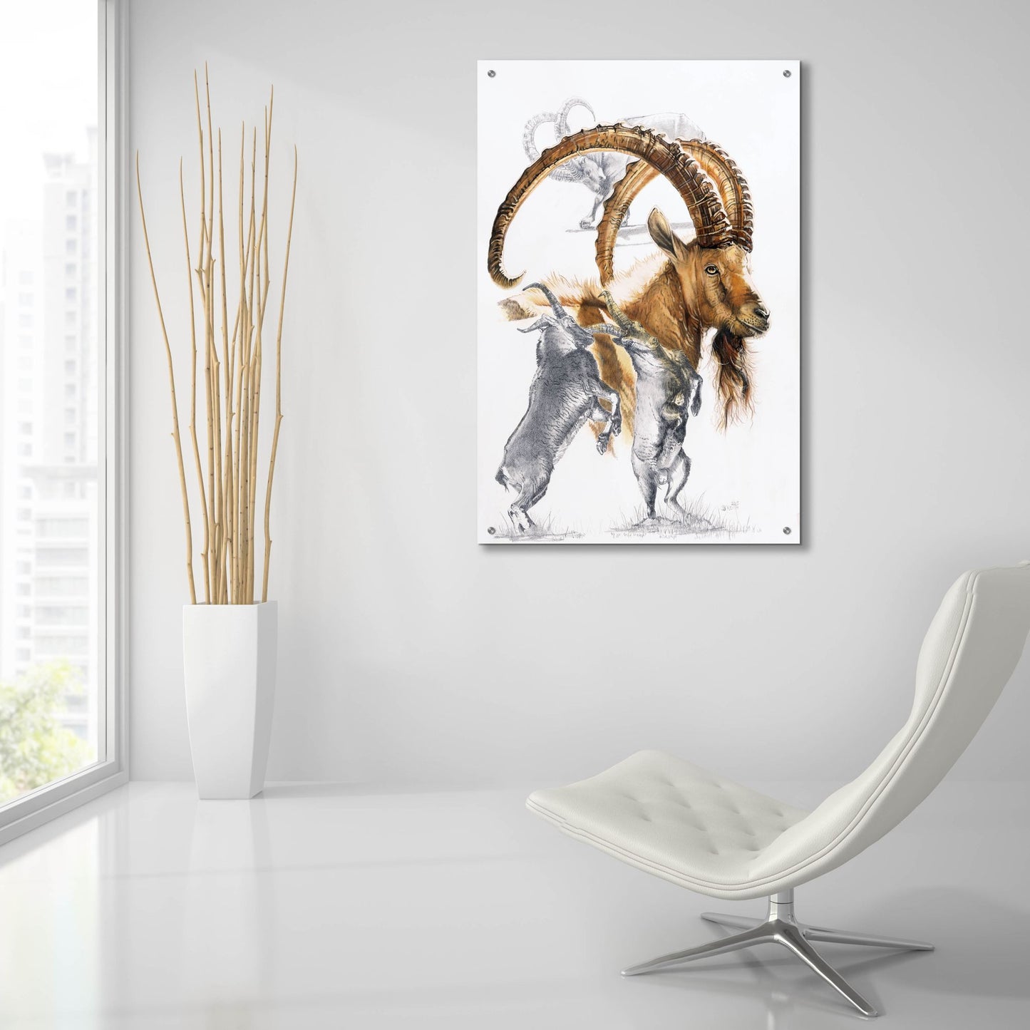 Epic Art 'Ibex' by Barbara Keith, Acrylic Glass Wall Art,24x36