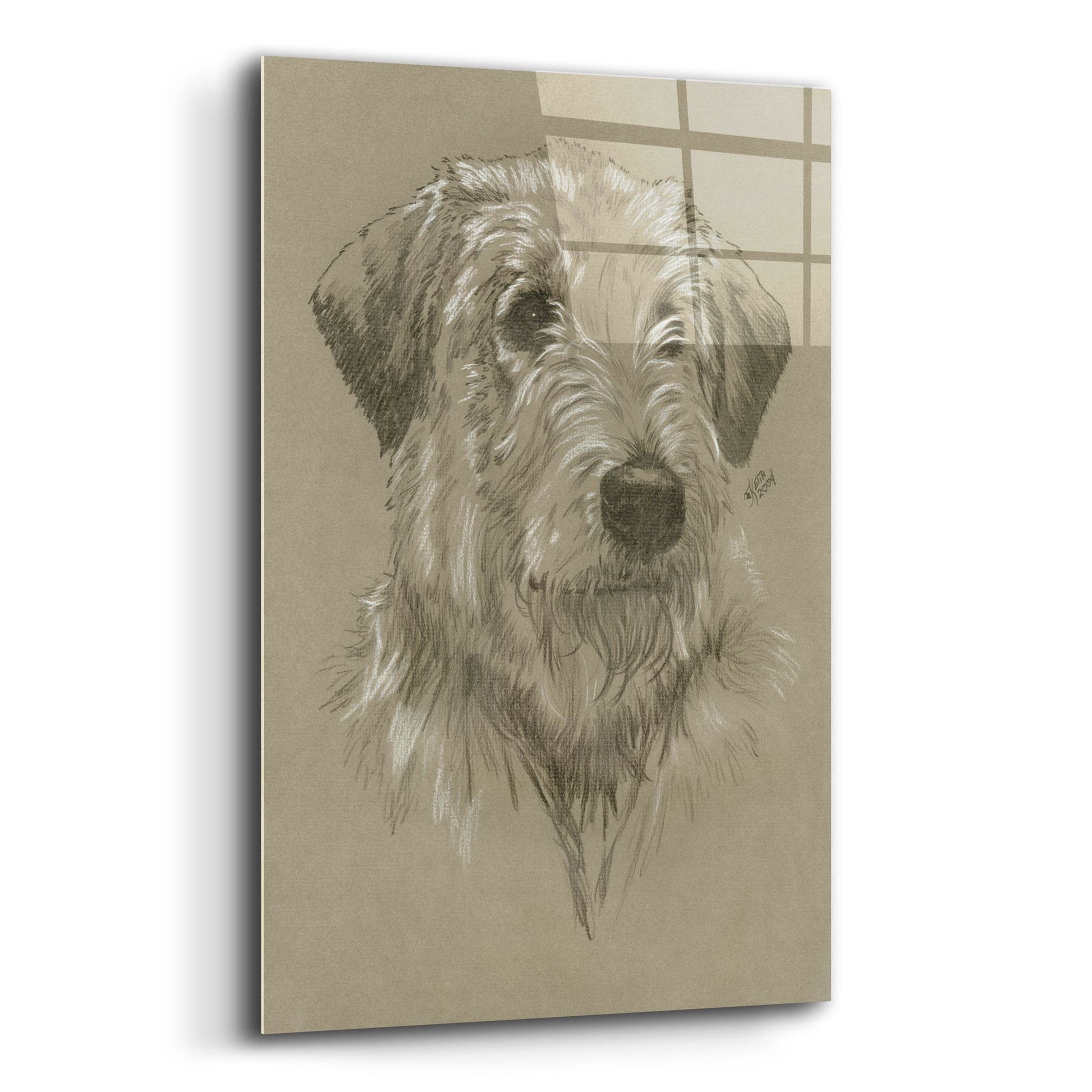 Epic Art 'Irish Wolfhound' by Barbara Keith, Acrylic Glass Wall Art,12x16