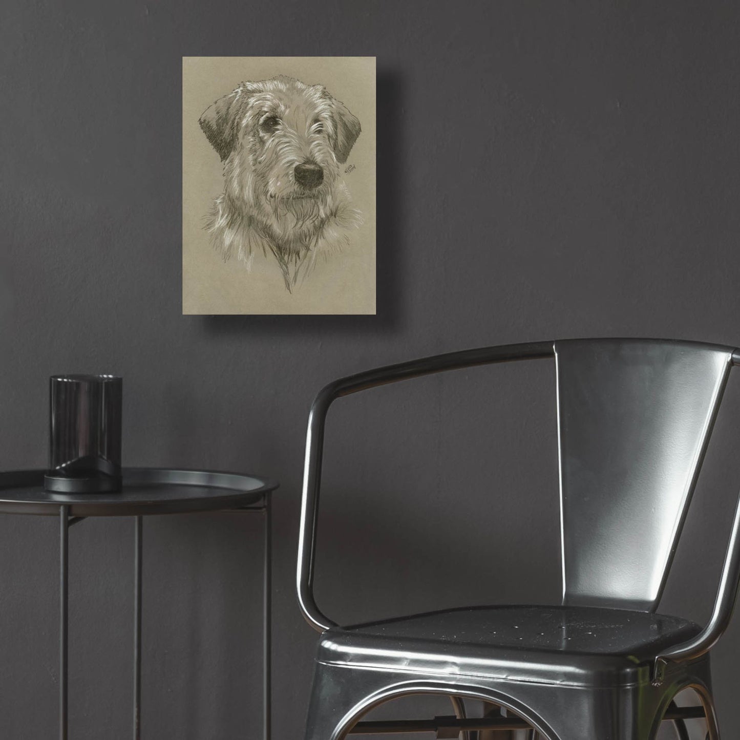 Epic Art 'Irish Wolfhound' by Barbara Keith, Acrylic Glass Wall Art,12x16