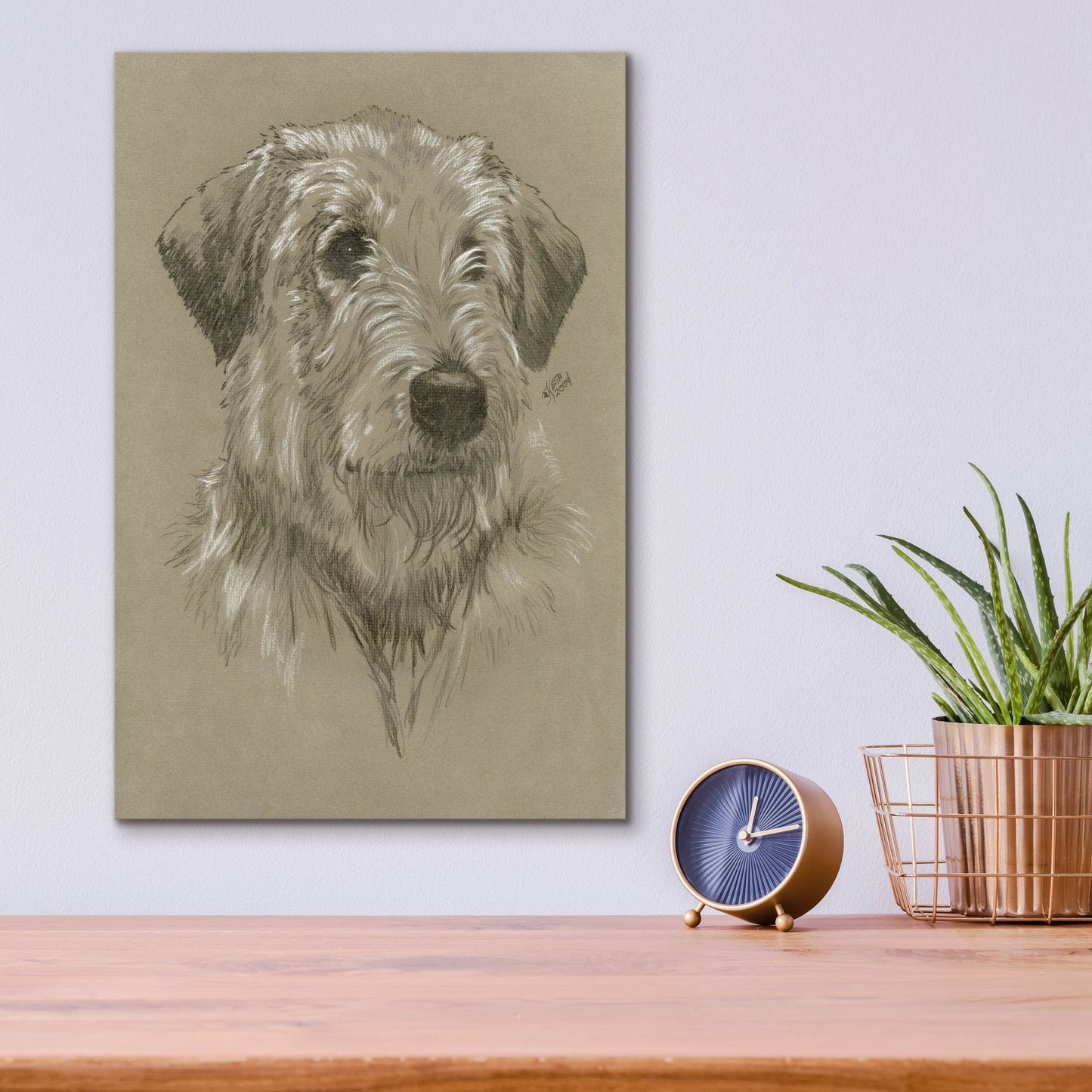 Epic Art 'Irish Wolfhound' by Barbara Keith, Acrylic Glass Wall Art,12x16