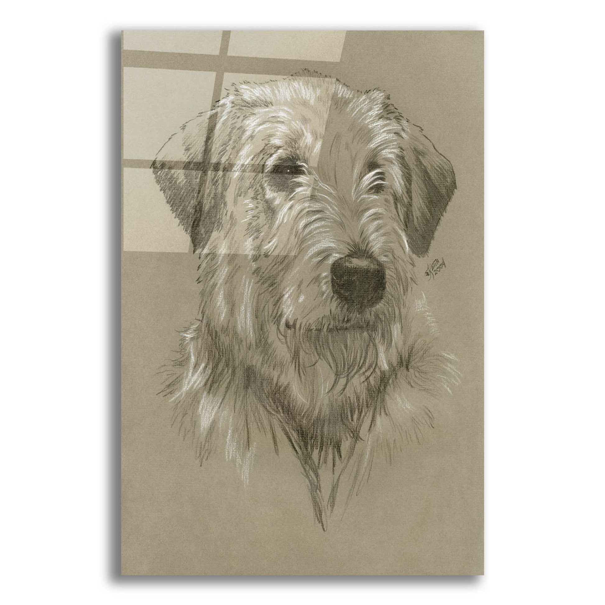 Epic Art 'Irish Wolfhound' by Barbara Keith, Acrylic Glass Wall Art,12x16