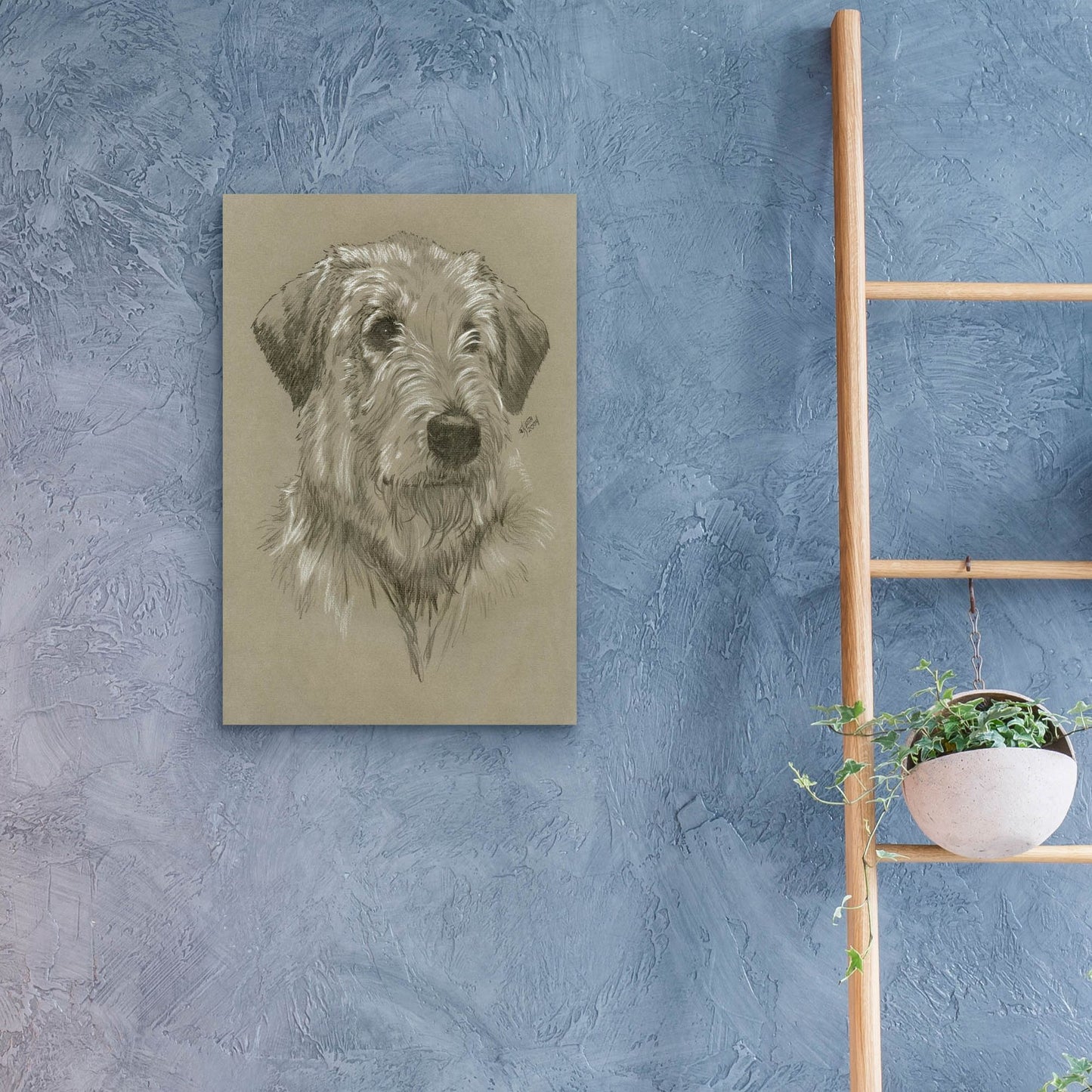 Epic Art 'Irish Wolfhound' by Barbara Keith, Acrylic Glass Wall Art,16x24