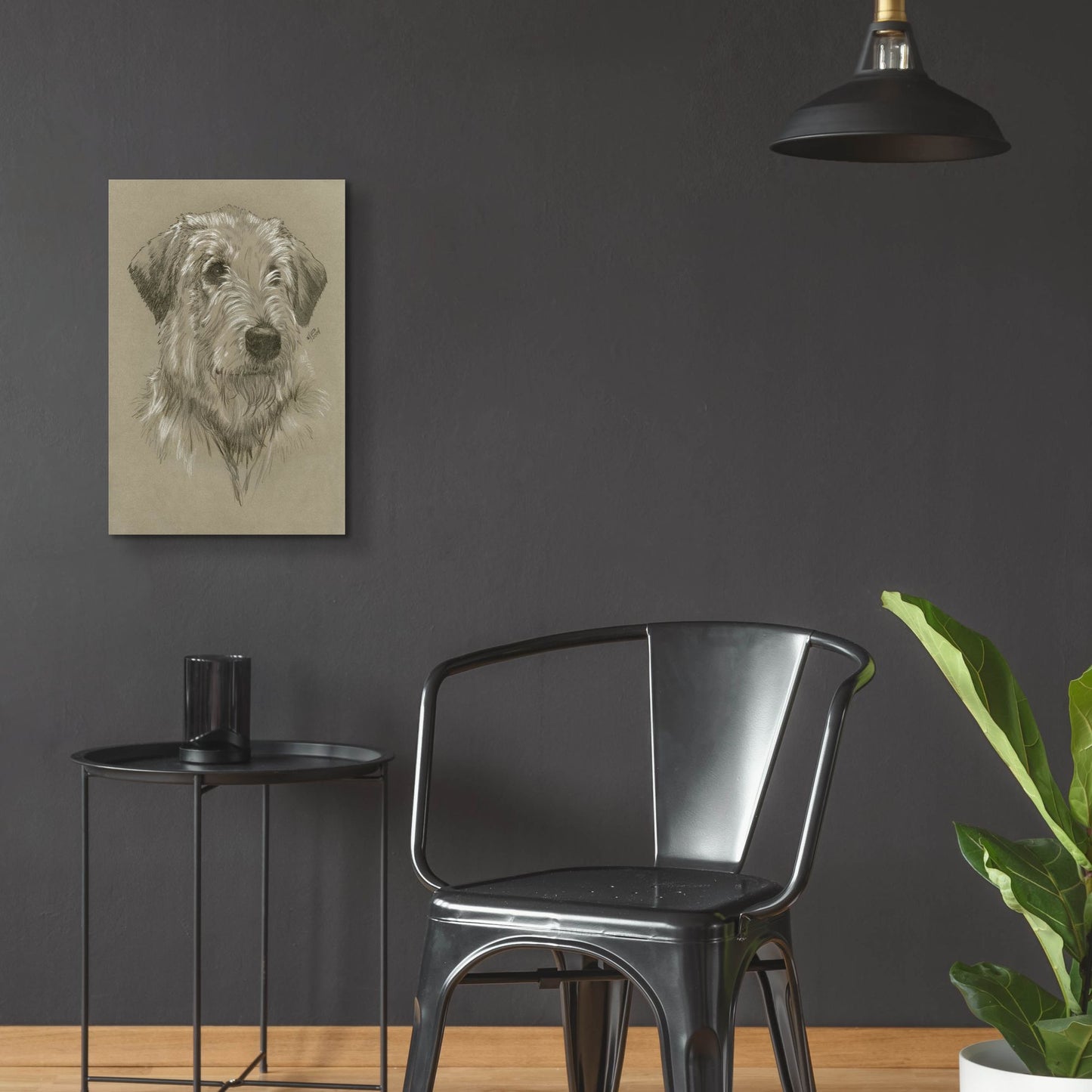 Epic Art 'Irish Wolfhound' by Barbara Keith, Acrylic Glass Wall Art,16x24