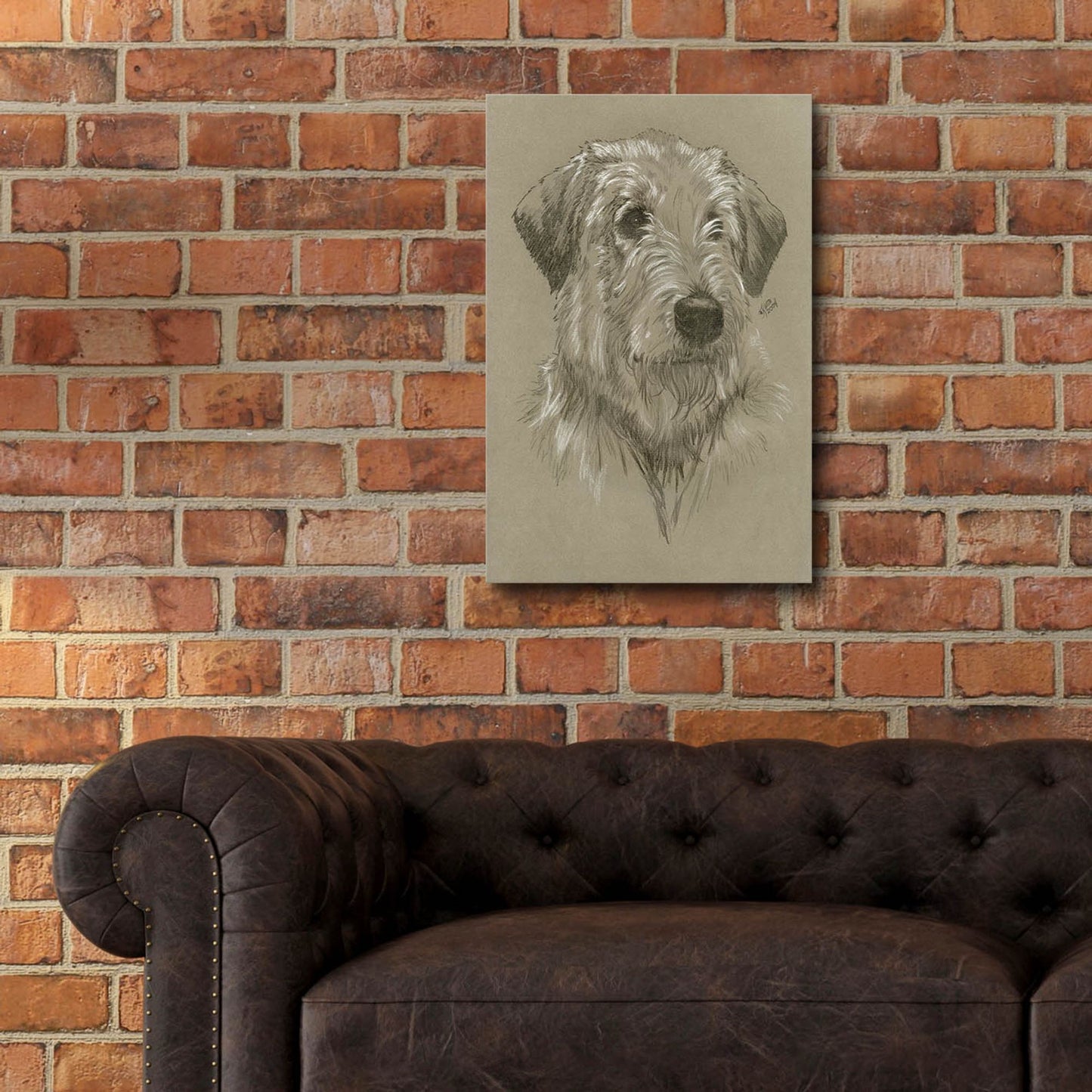 Epic Art 'Irish Wolfhound' by Barbara Keith, Acrylic Glass Wall Art,16x24