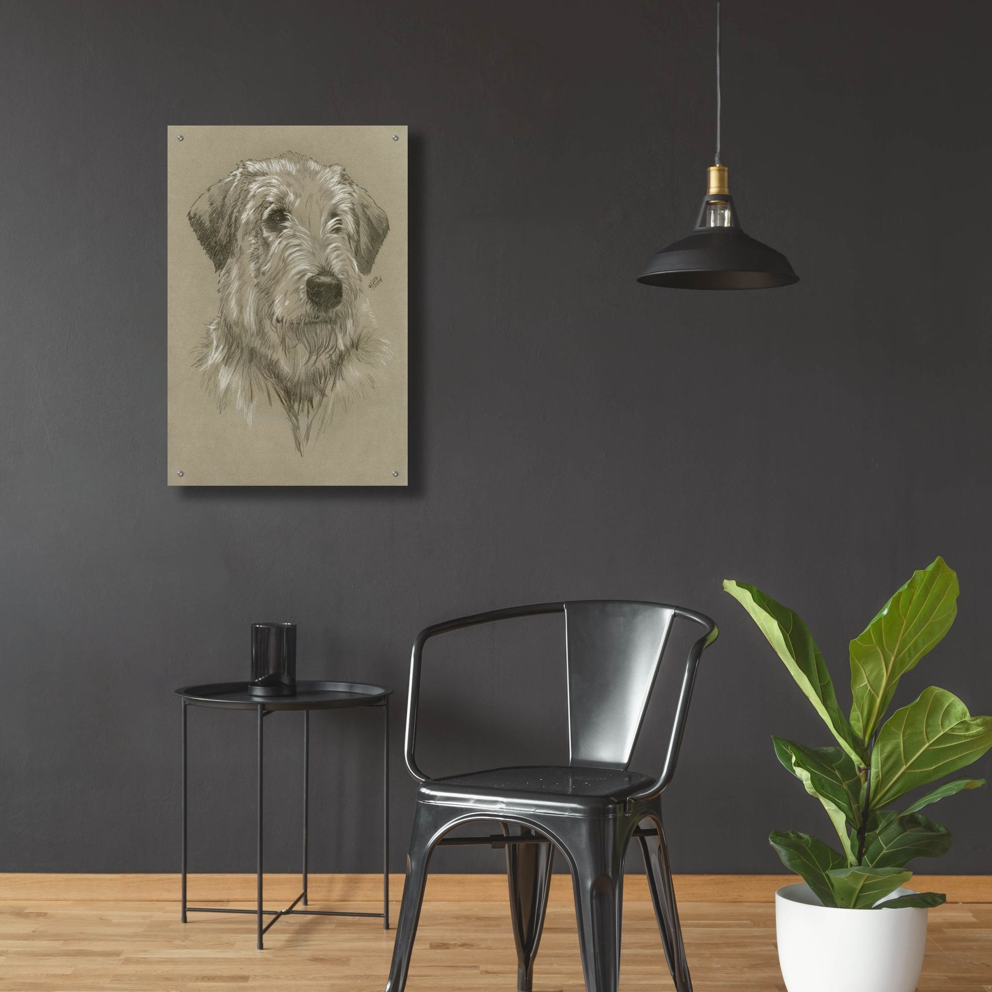 Epic Art 'Irish Wolfhound' by Barbara Keith, Acrylic Glass Wall Art,24x36