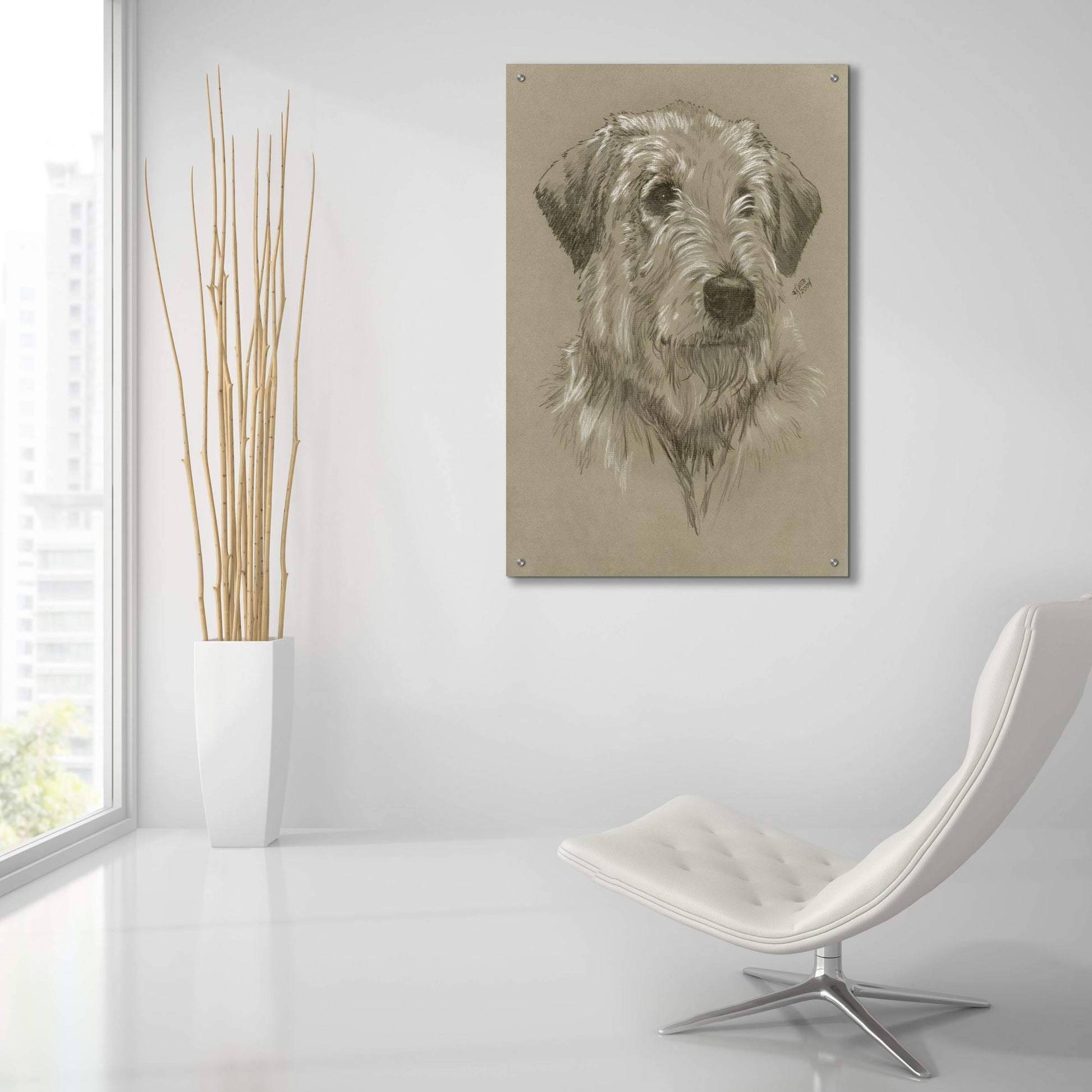 Epic Art 'Irish Wolfhound' by Barbara Keith, Acrylic Glass Wall Art,24x36