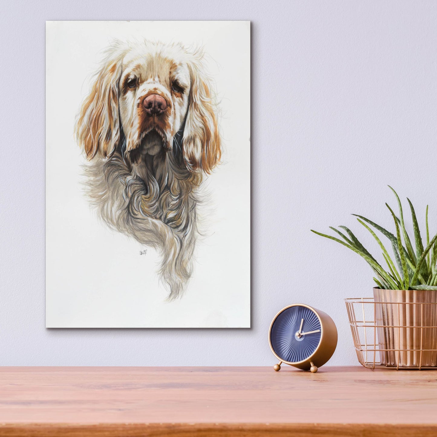 Epic Art 'Clumber Spaniel' by Barbara Keith, Acrylic Glass Wall Art,12x16