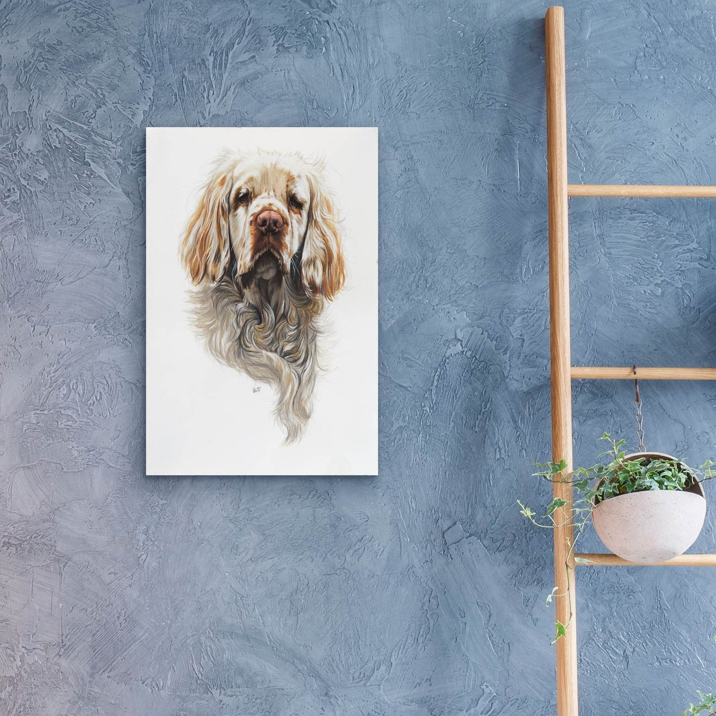 Epic Art 'Clumber Spaniel' by Barbara Keith, Acrylic Glass Wall Art,16x24