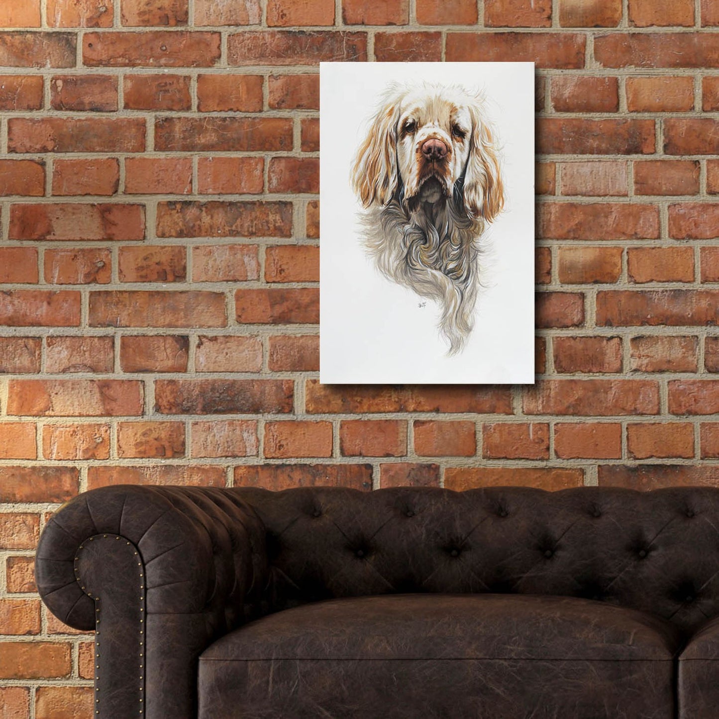 Epic Art 'Clumber Spaniel' by Barbara Keith, Acrylic Glass Wall Art,16x24