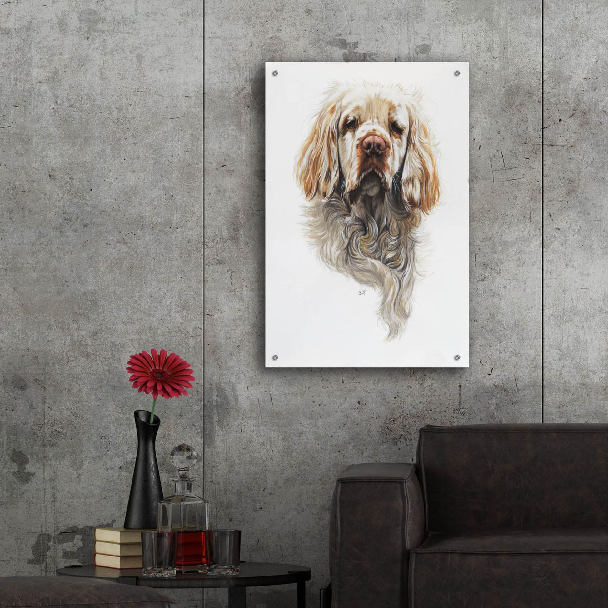 Epic Art 'Clumber Spaniel' by Barbara Keith, Acrylic Glass Wall Art,24x36